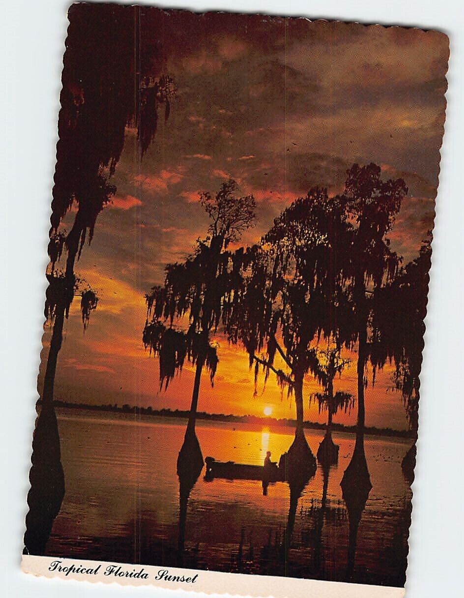 Postcard Florida's Colorful Sunset USA