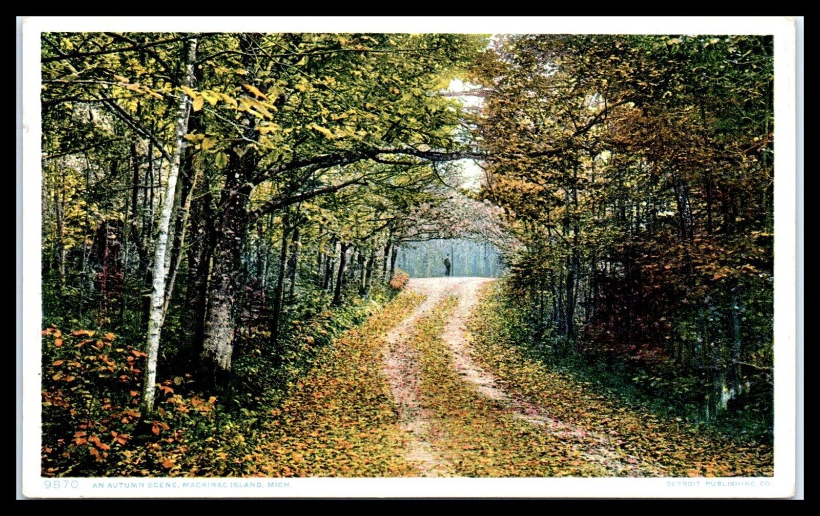MICHIGAN Postcard - Mackinac Island, Autumn Scene, Leaf Covered Dirt Road F36