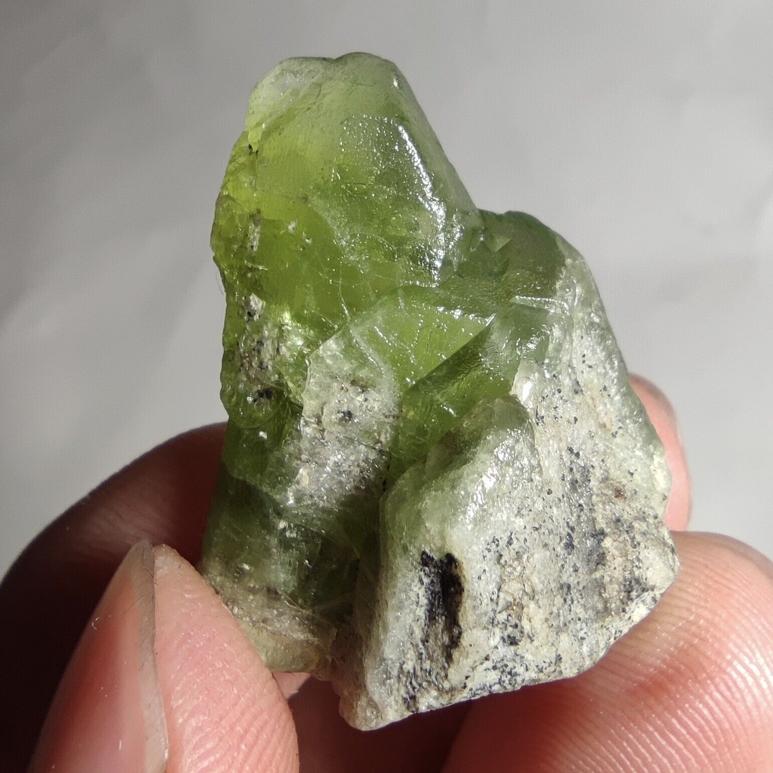 Natural Gemmy Terminated Green Peridot Crystal With Ludwigite Inclusion, 13.9g