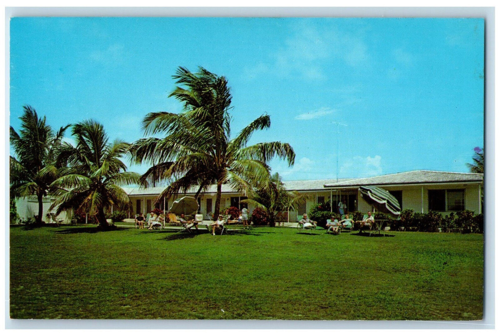 c1950's Ce-Esta Palms Apartments Pompano Beach Florida FL Vintage Postcard