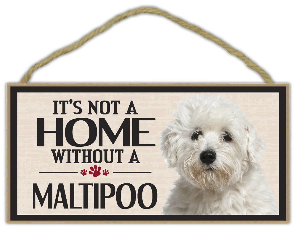 Wood Sign: It's Not A Home Without A MALTIPOO (MALTESE POODLE) | Dogs, Gifts