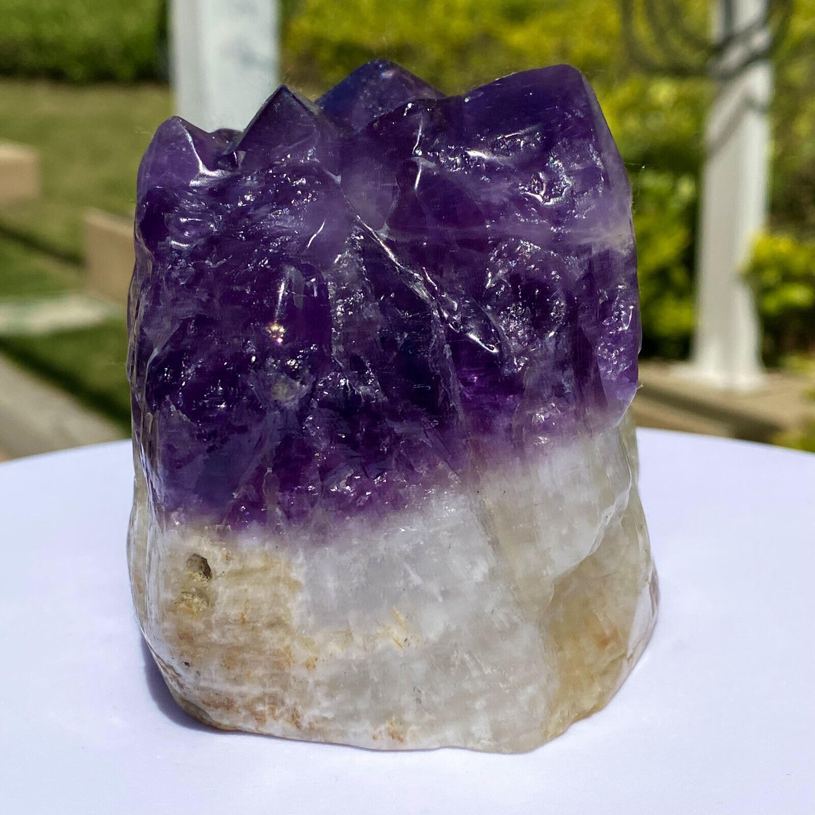 2.42LB Natural Amethyst backbone clustercrystal rod point healing therapy