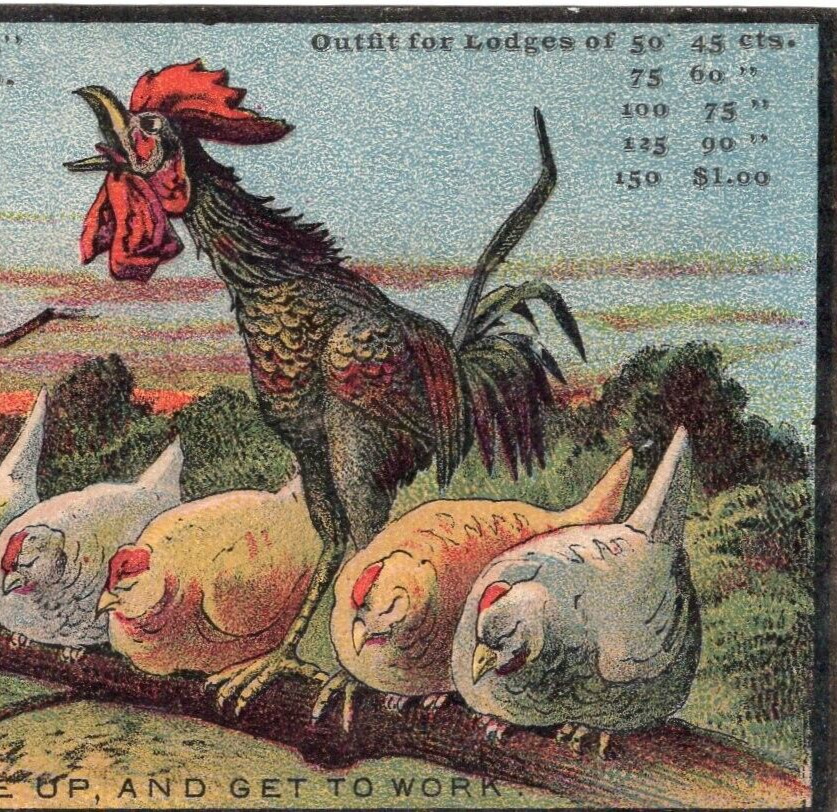 1883-84 The Credit System Roswell H. Hassam Trade Card Rooster Hens Wake Up
