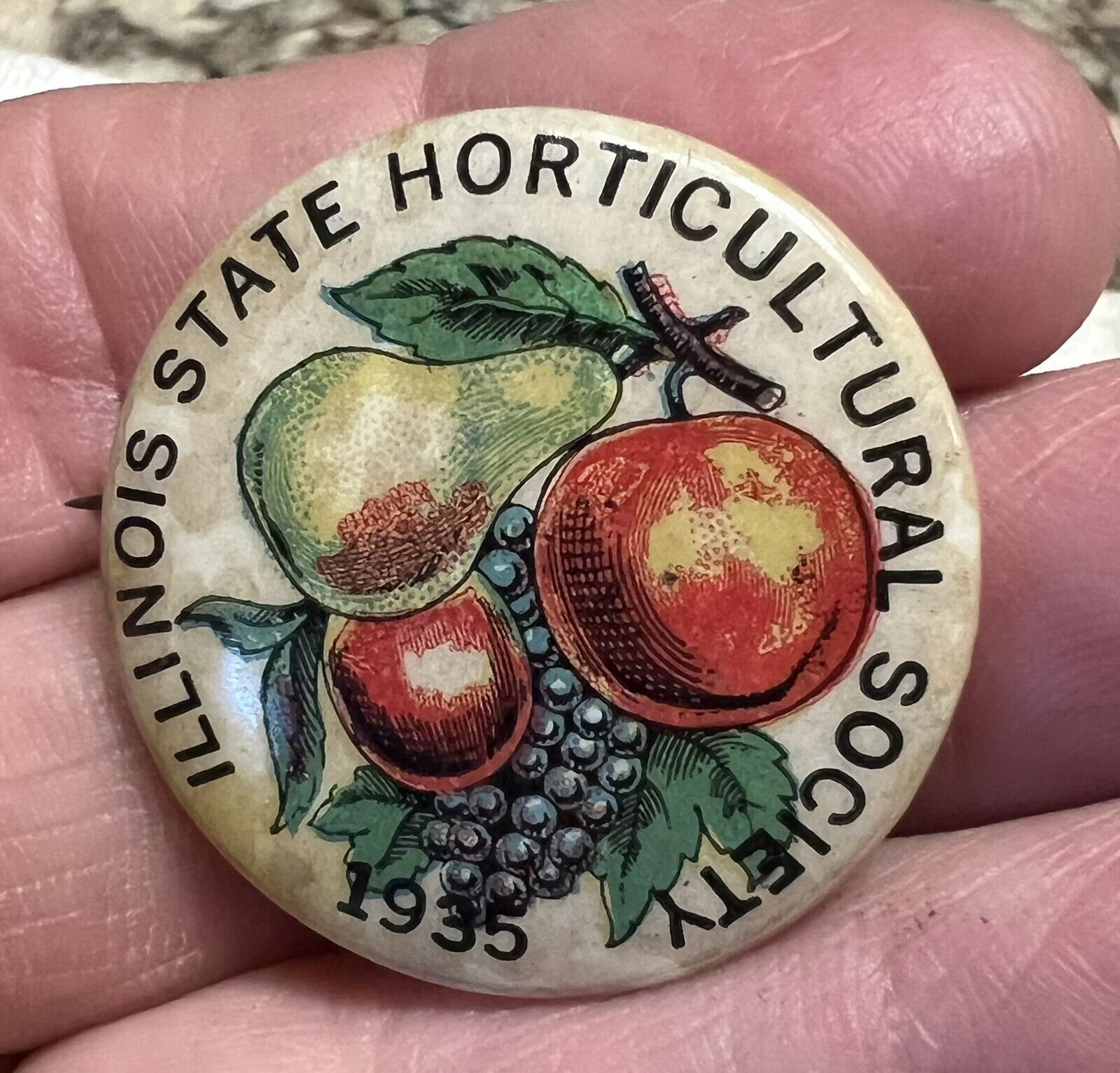 Vintage 1935 Illinois State Horticultural Society Pinback Pin