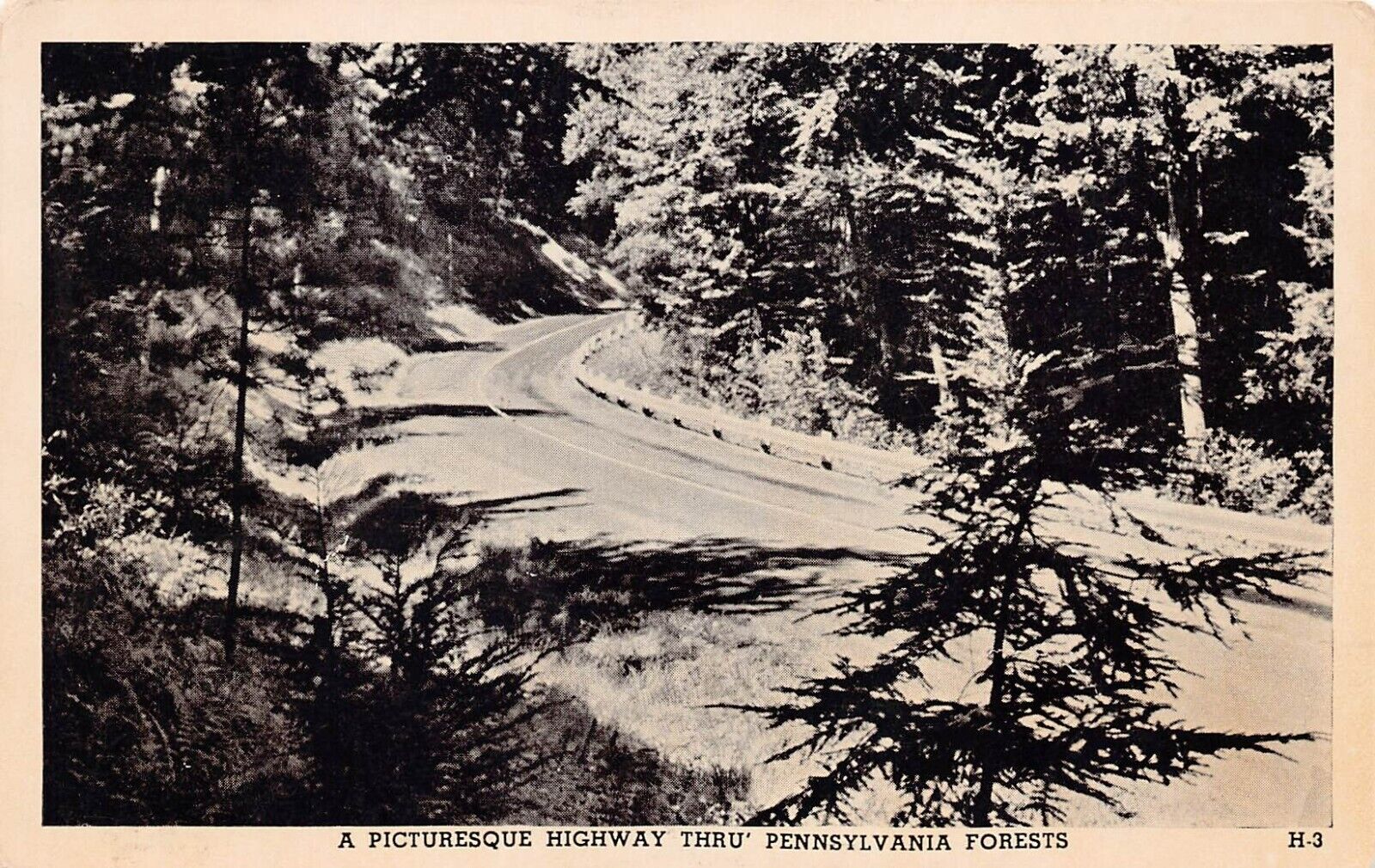 Reynoldsville PA Pennsylvania Forest Highway Jefferson County Vtg Postcard Z6