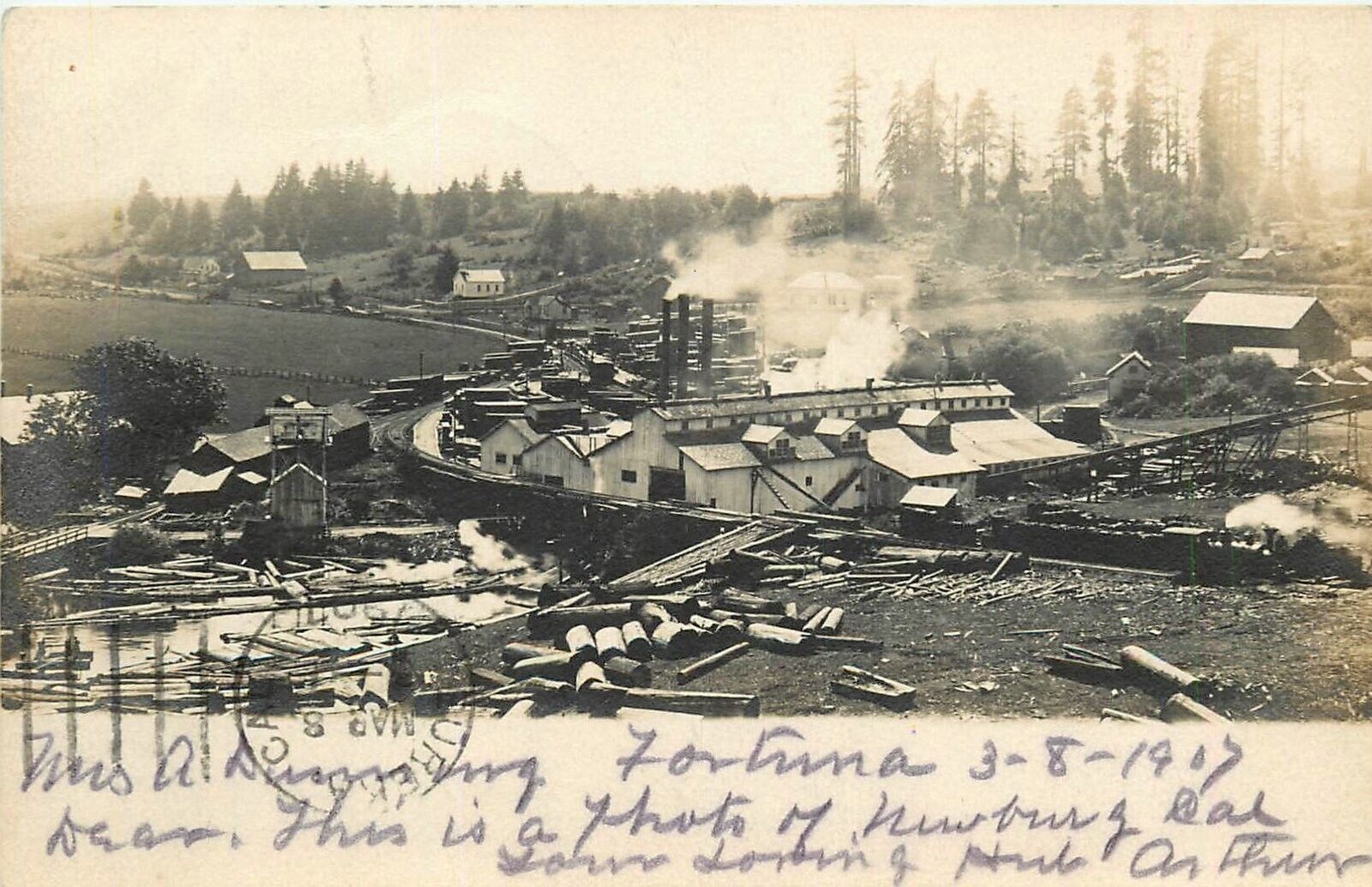 Postcard RPPC 1907 California Fortuna Logging Lumber Sawmill Humboldt CA24-4732