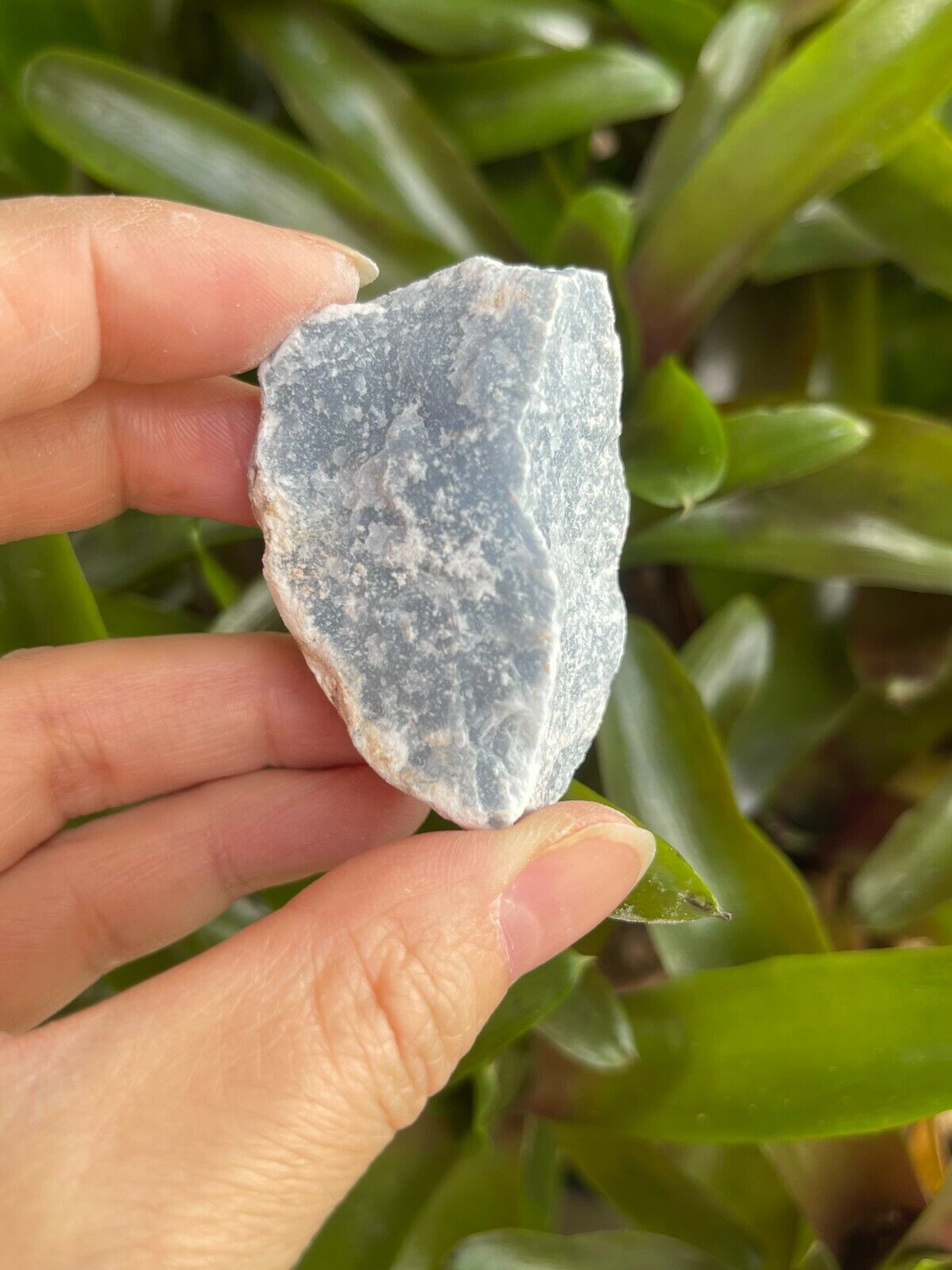 Angelite Raw Stone 1.5-2 Inches, Natural Rough Angelite, Wholesale Bulk Lot