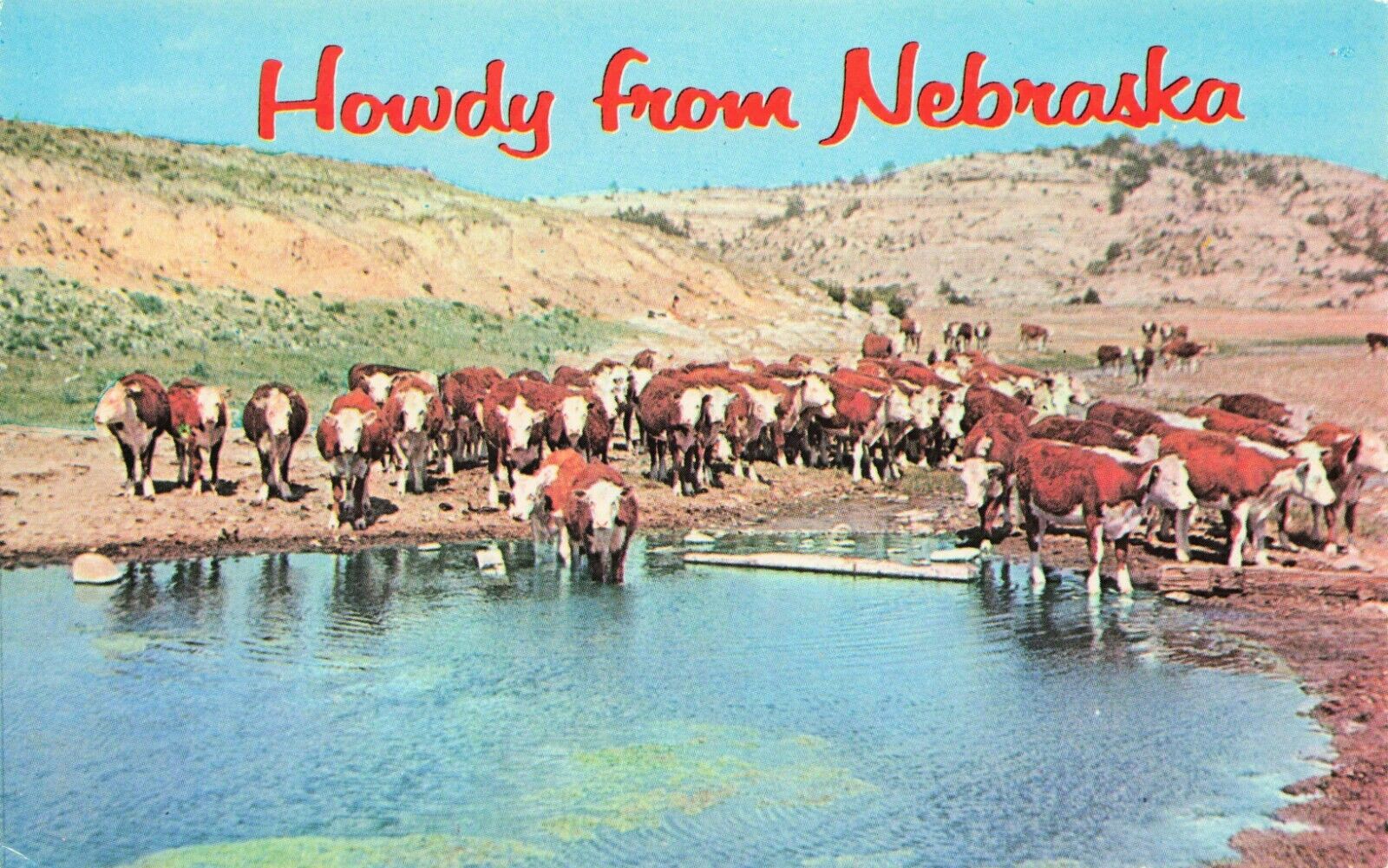 Postcard Howdy from Nebraska World Famous Nebraska Prime Beef NE Chrome Vintage
