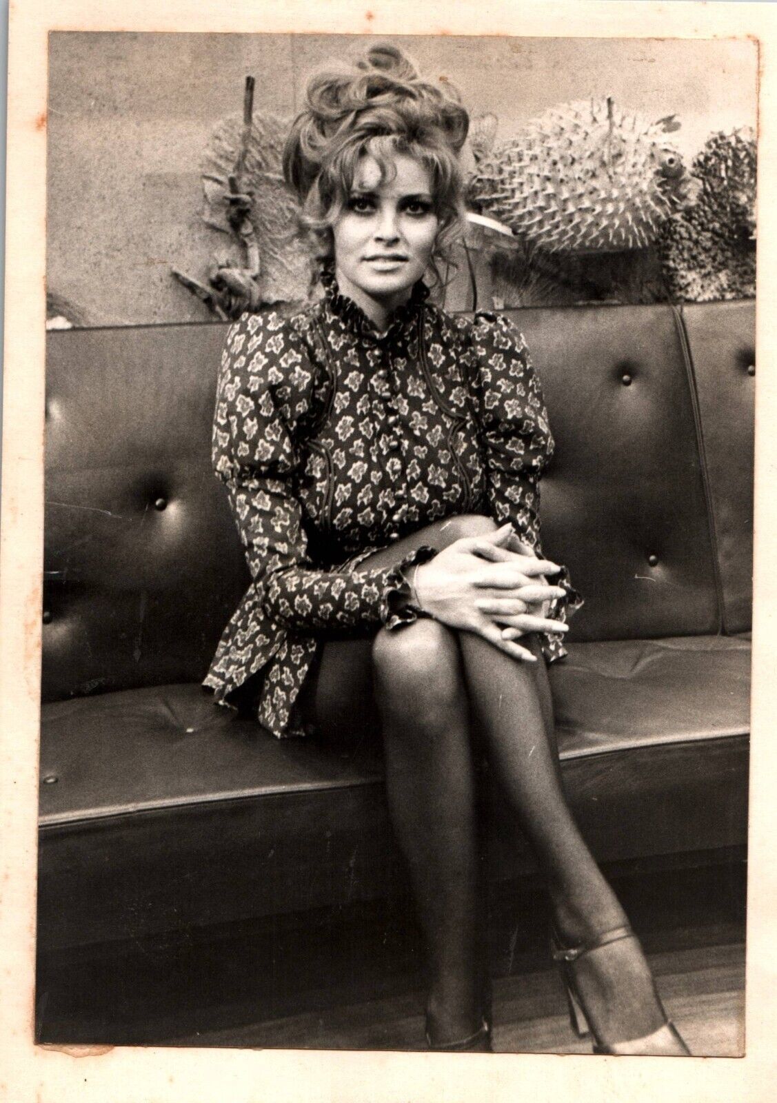 Raquel Welch (1960s) ❤ Hollywood Beauty - Leggy Cheesecake Bombshell Photo K 350