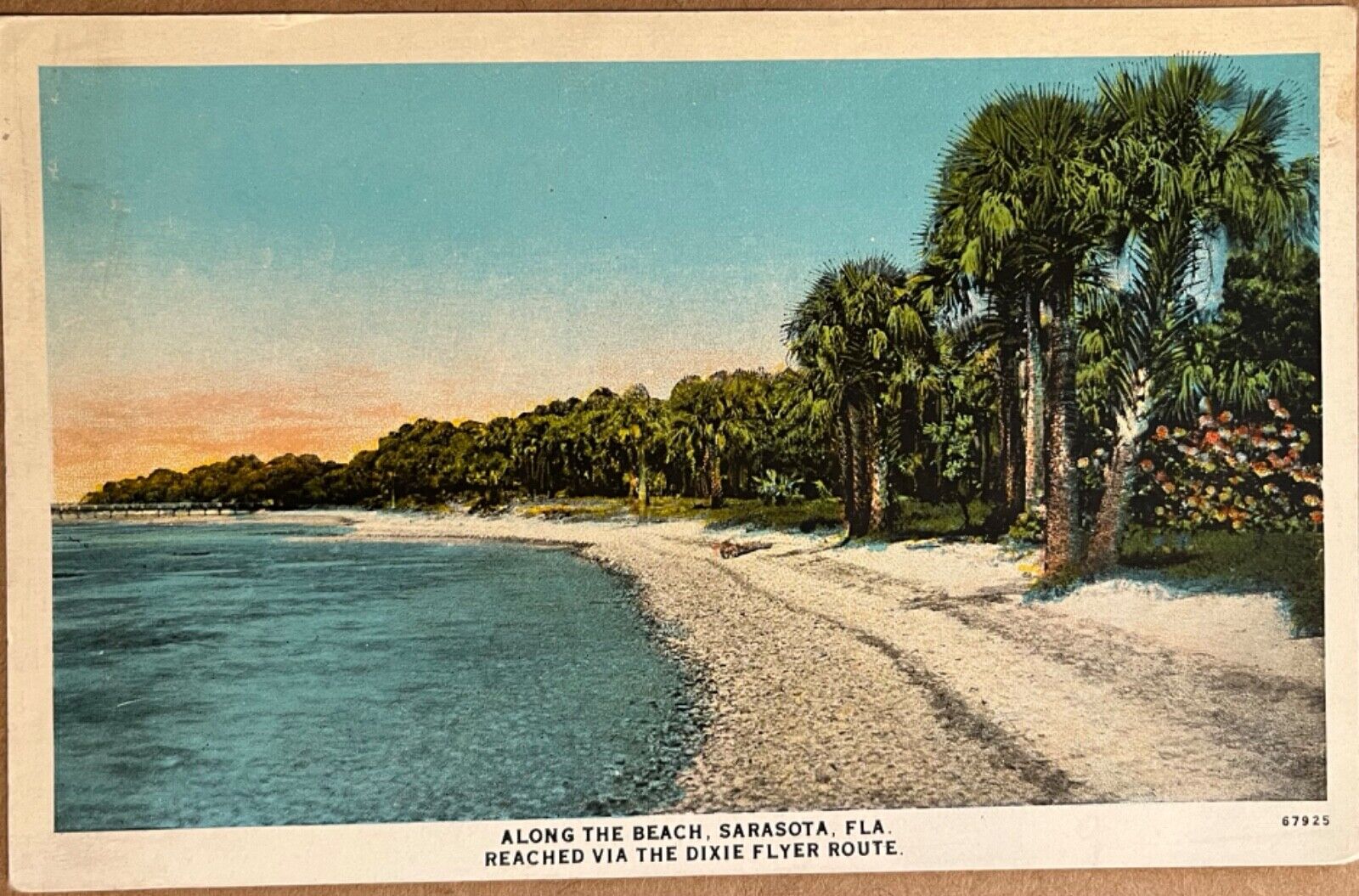 Sarasota Florida Dixie Flyer Train Advertisement Antique Postcard c1920