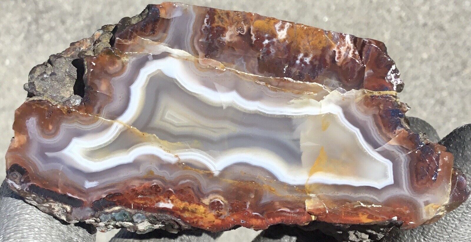 12.7 Oz Polished Moroccan Floater Agate Half Nodule Display Piece