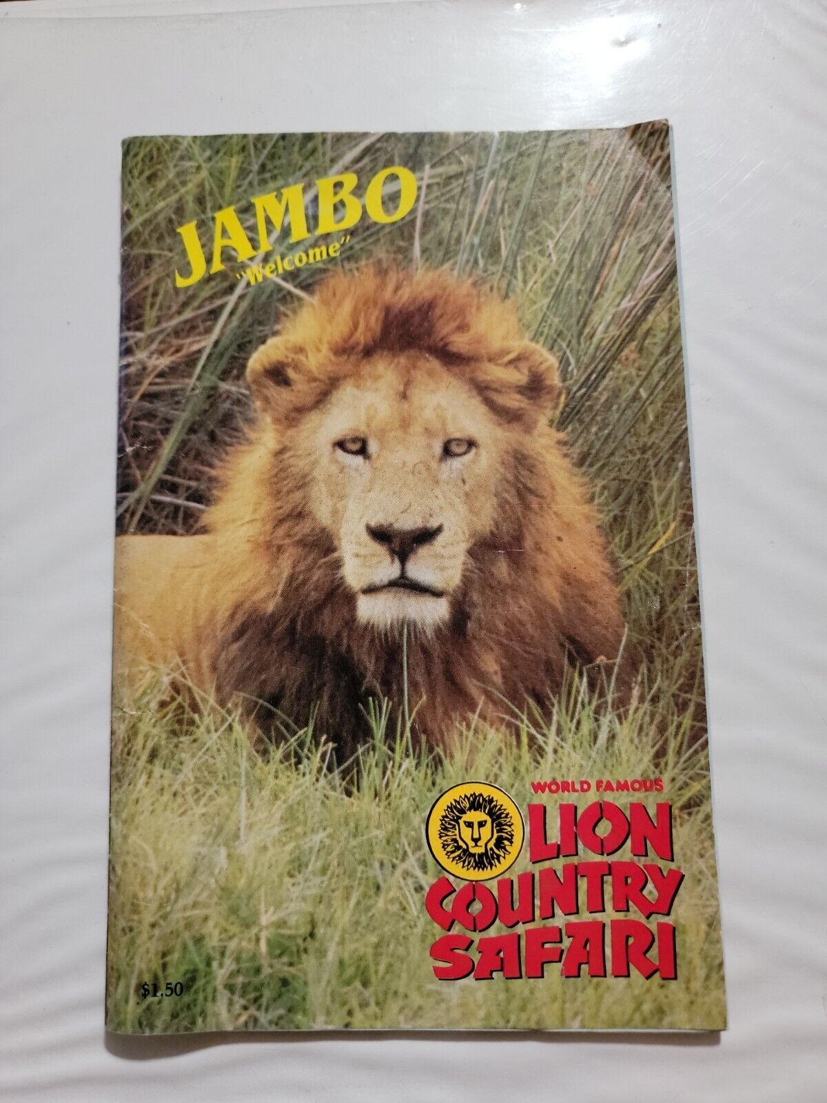 Vintahe West Palm Beach Lion County Safari Florida Souvenir