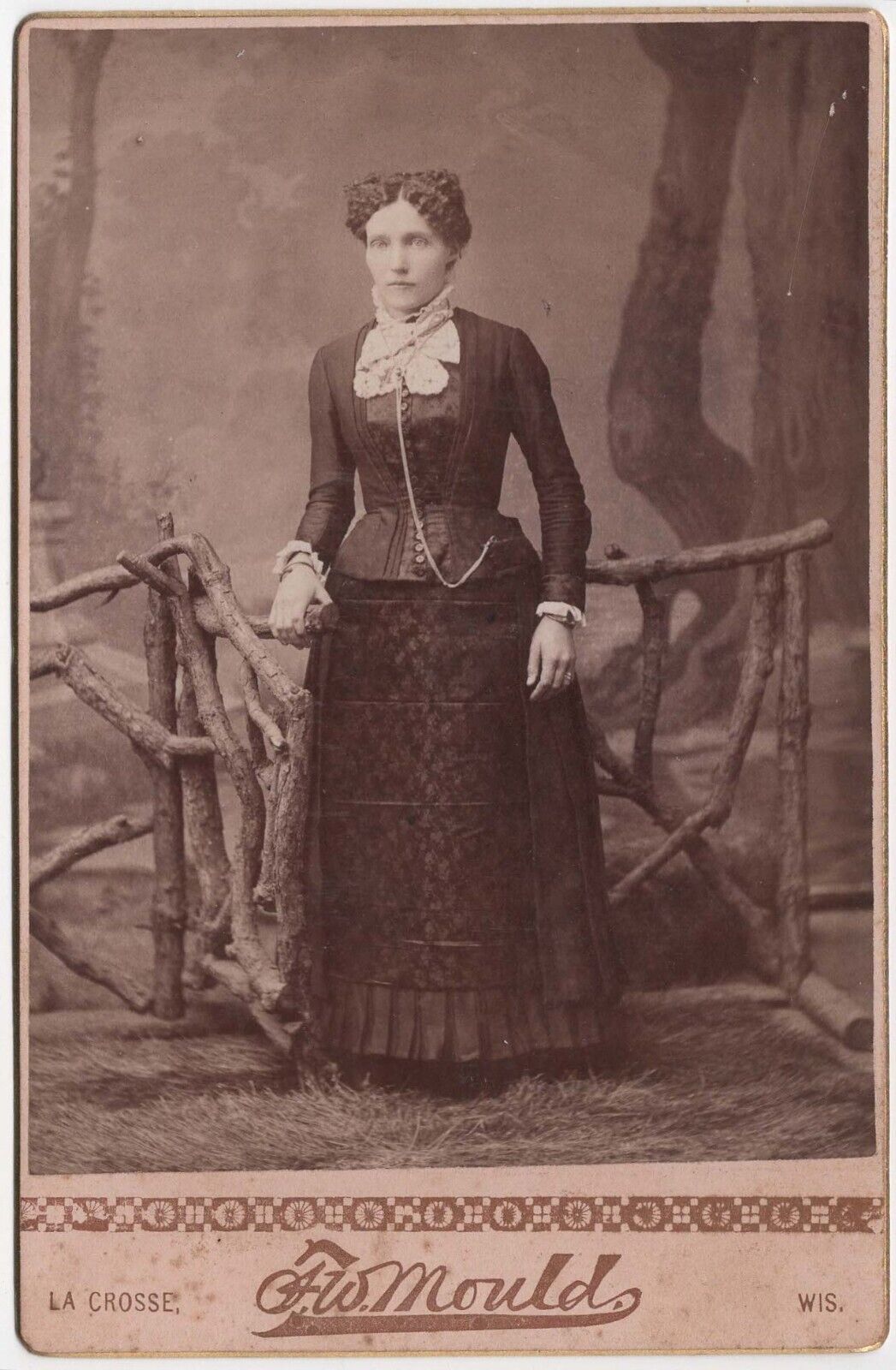 CIRCA 1880s CABINET CARD F.W. MOULD GORGEOUS YOUNG LADY LA CROSSE WISCONSIN
