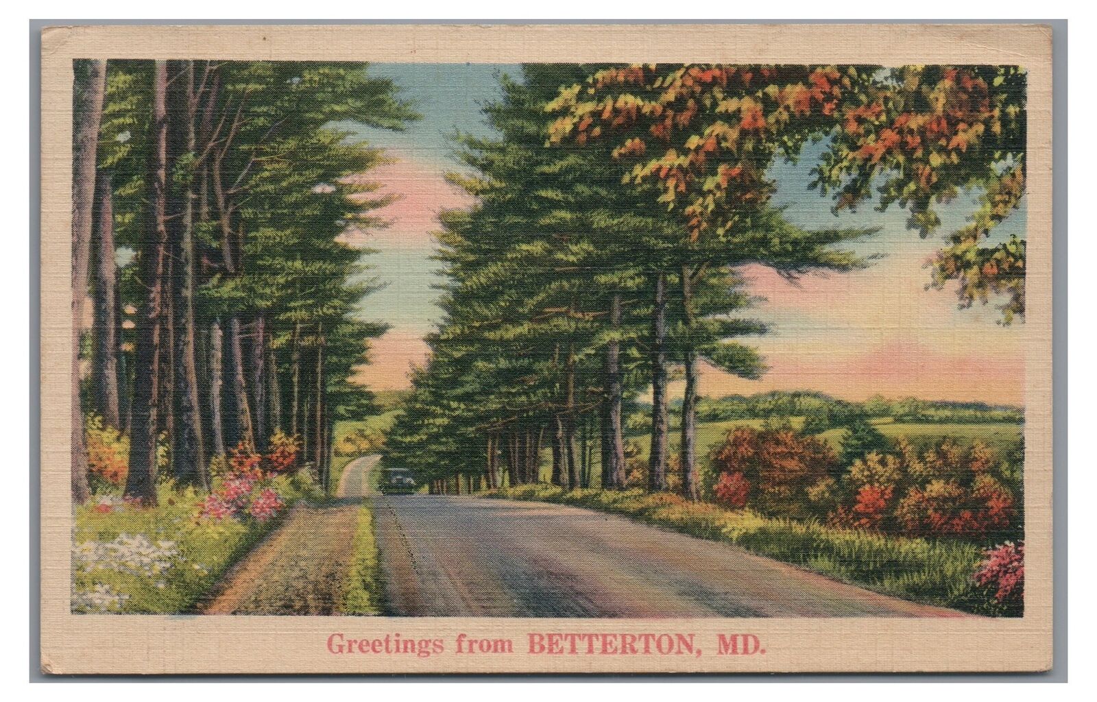 Greetings from BETTERTON MD Maryland Vintage Postcard