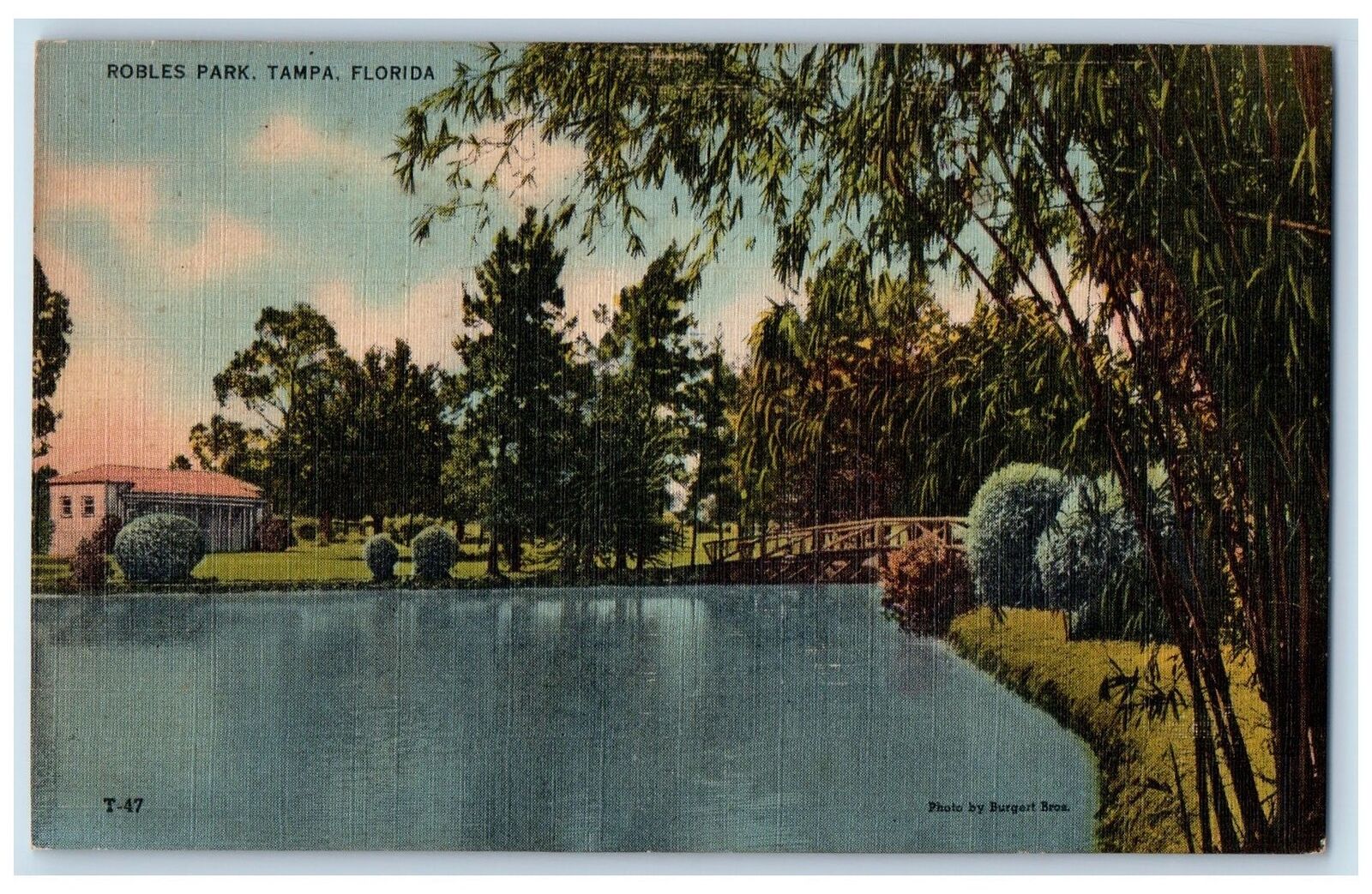 c1940s Robles Park Lake Trees Scene Tampa Florida FL Unposted Vintage Postcard