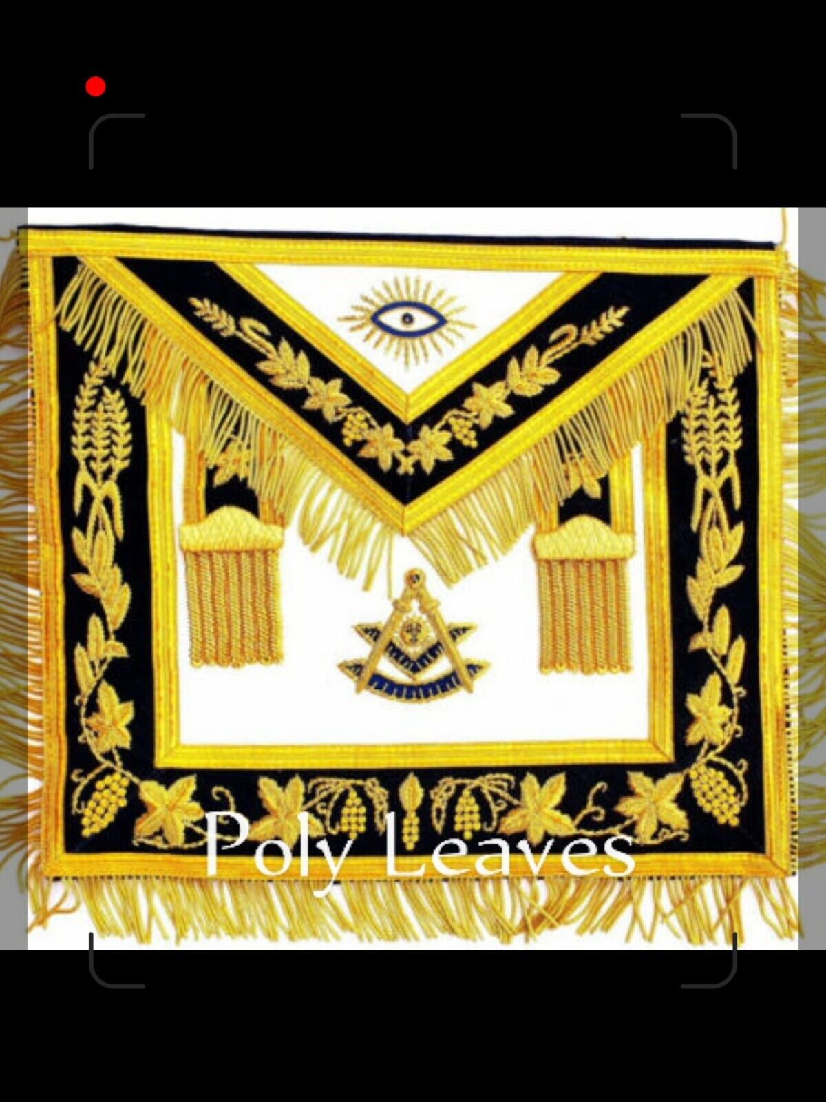 Hand MADE GOLD Bullion Masonic Past Master Embroidered Aprons Apron HIGH END NEW