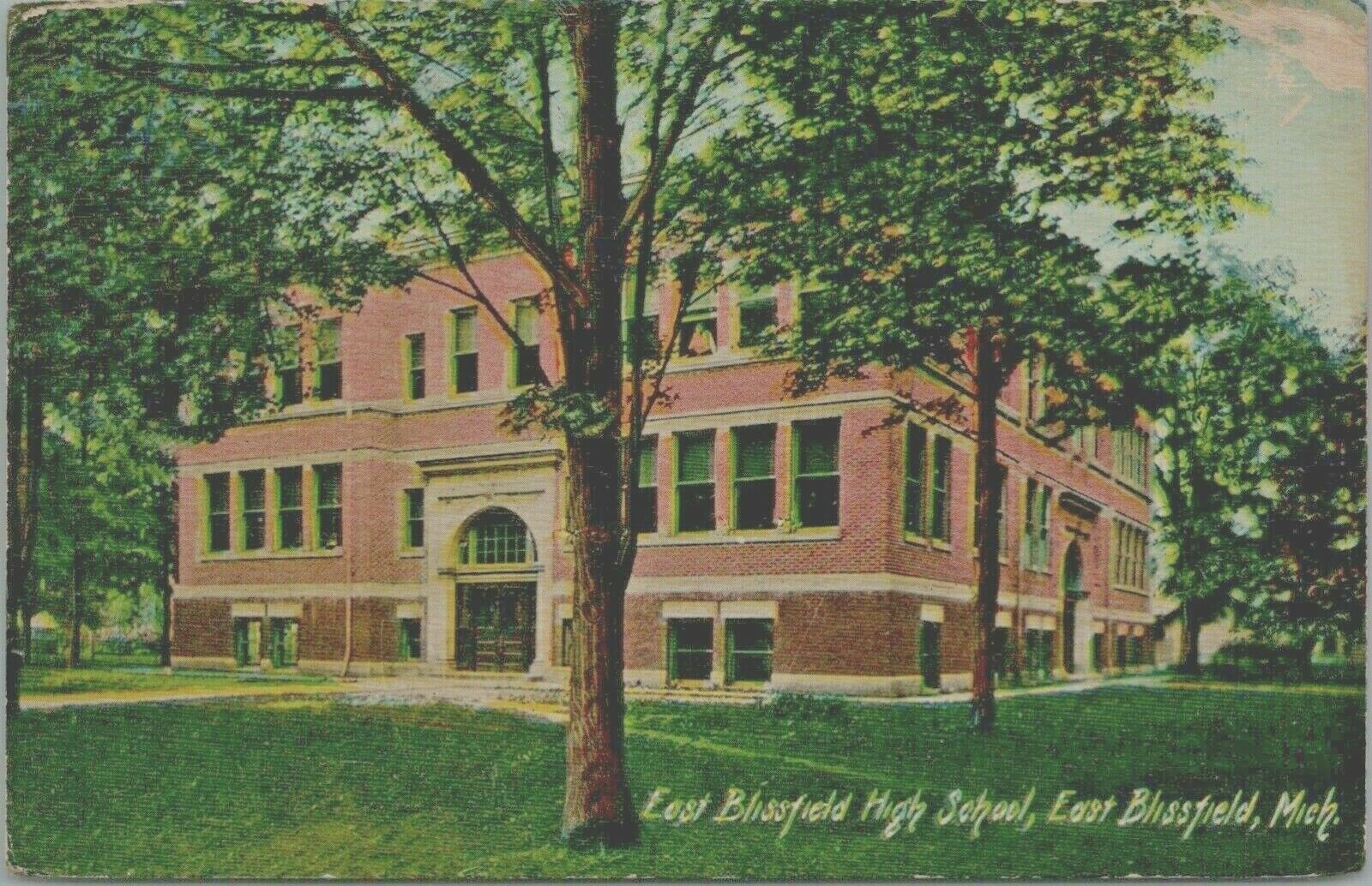 East Blissfield Michigan~East Blissfield High School~1908 Postcard 