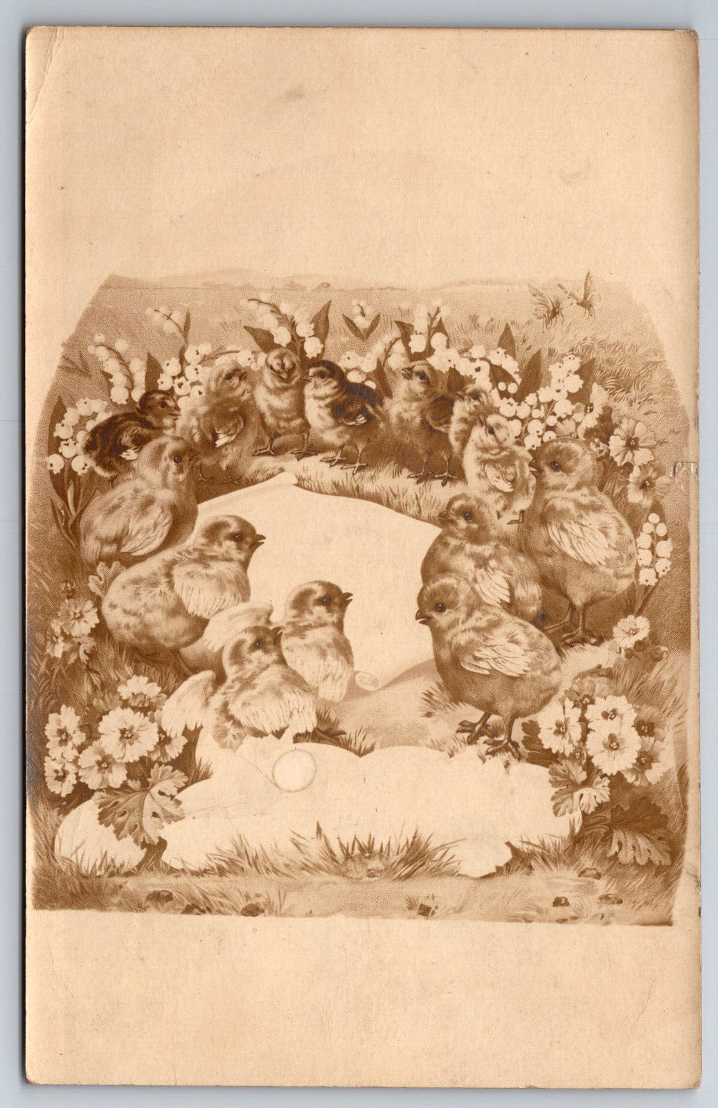 Vintage Postcard Easter RPPC Photo of a Photo Chicks Flowers Divided Back -10797