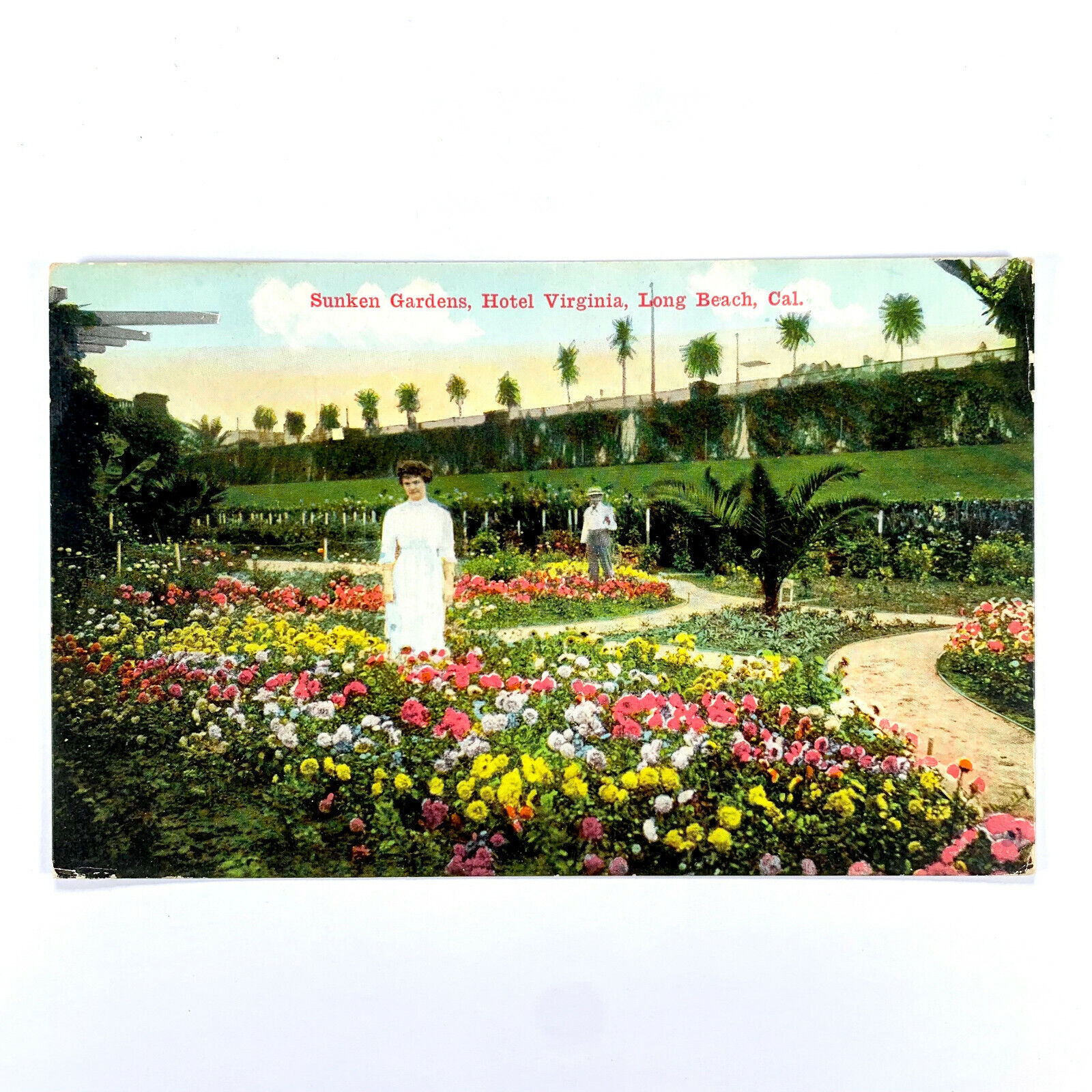 Postcard California Long Beach CA Hotel Virginia Sunken Garden 1910s Unposted