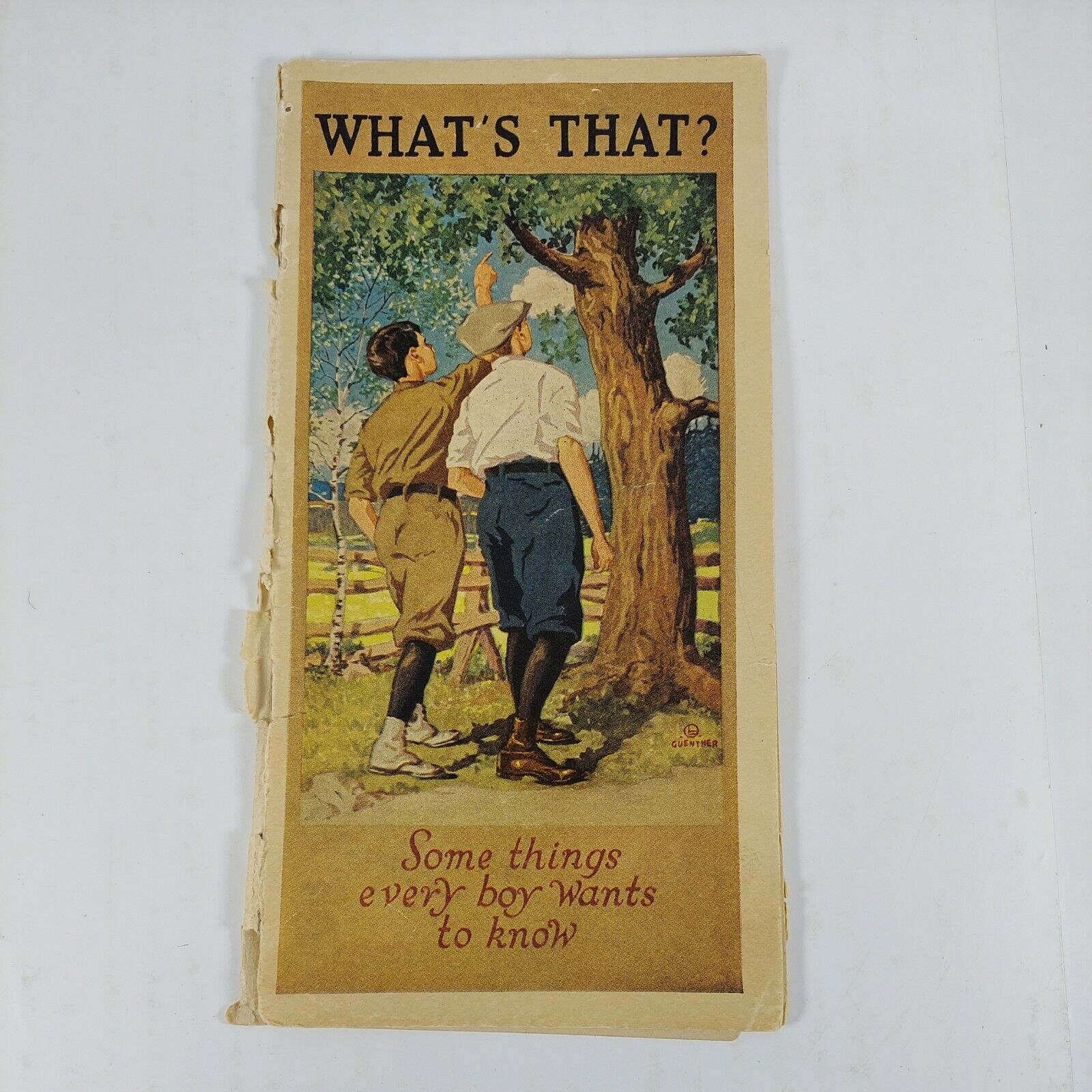 WHAT\'S THAT? Some Things Every Boy Wans to Know 1923 B F Goodrich Rubber Co.