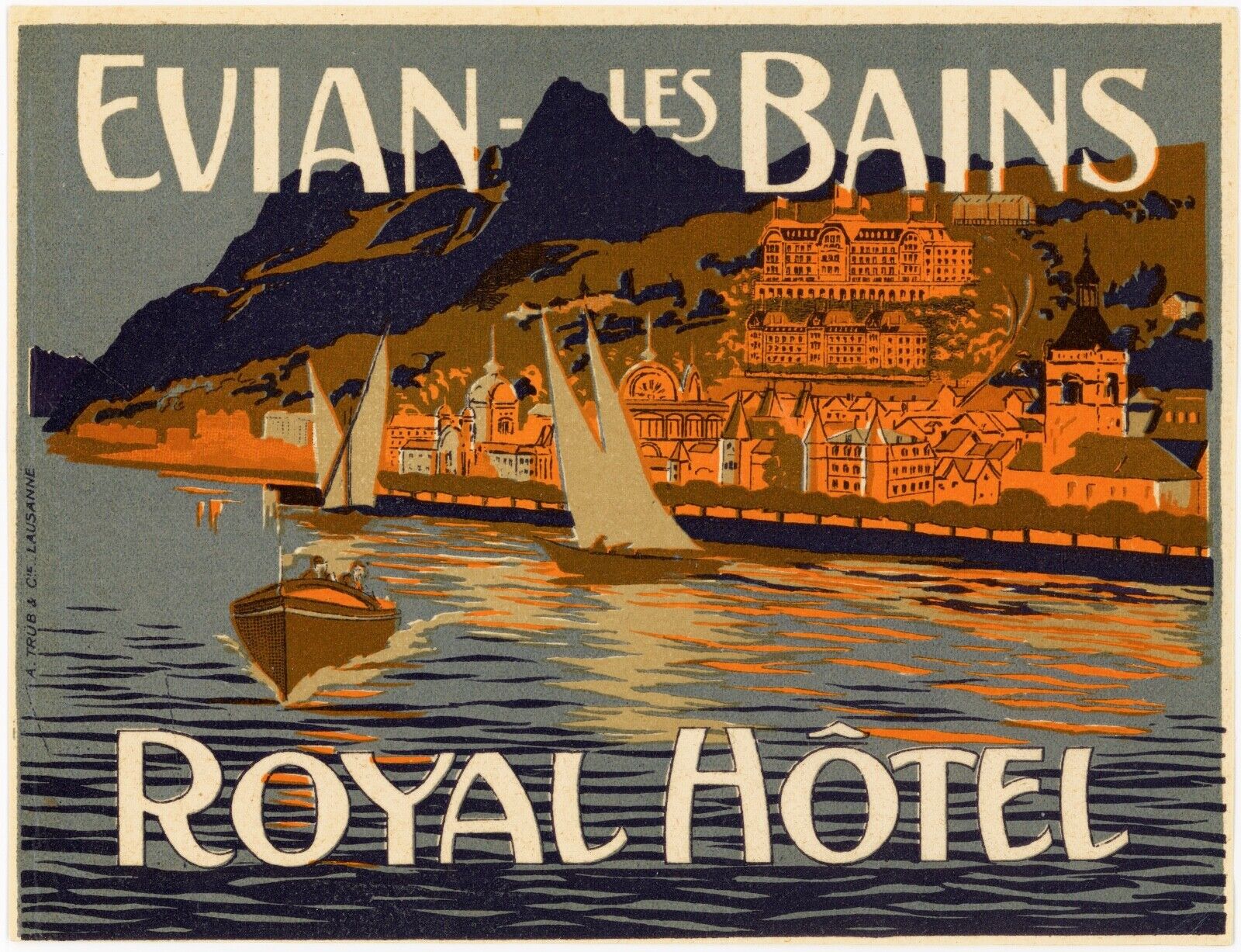 Evian Les Bains France ROYAL HOTEL LUGGAGE Label 1910 very rare TRÜB