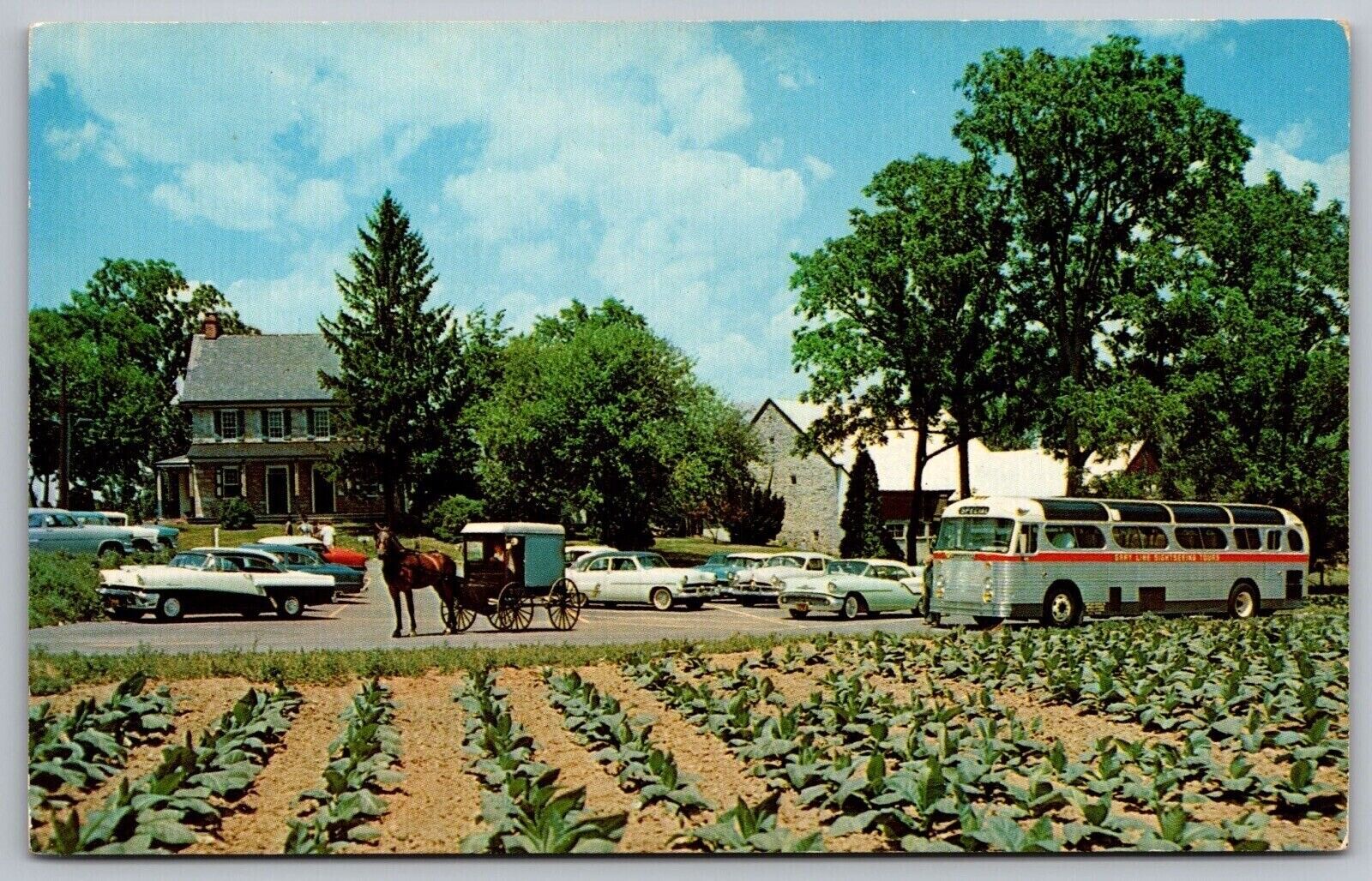 Lancaster Pennsylvania Amish Farm & House Scenic Countryside Chrome Postcard