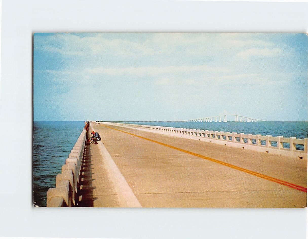 Postcard Florida\'s Fabulous Sunshine Skyway Bridge, St. Petersburg, Florida