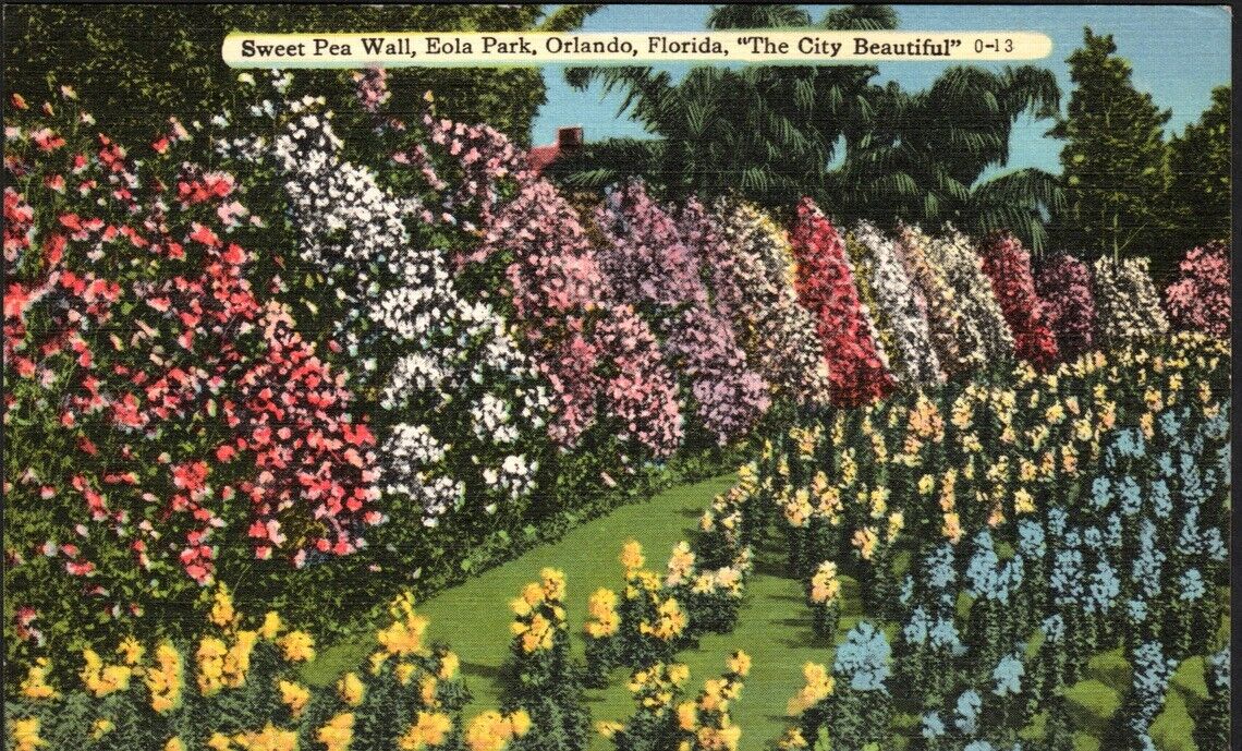 Postcard Orlando FL Eola Park Sweet Pea Wall Linen Posted 1958