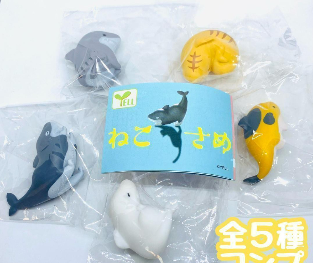 Nekosame Cat shark Mascot Capsule Toy 5 Types Full Comp Set Gacha New Japan