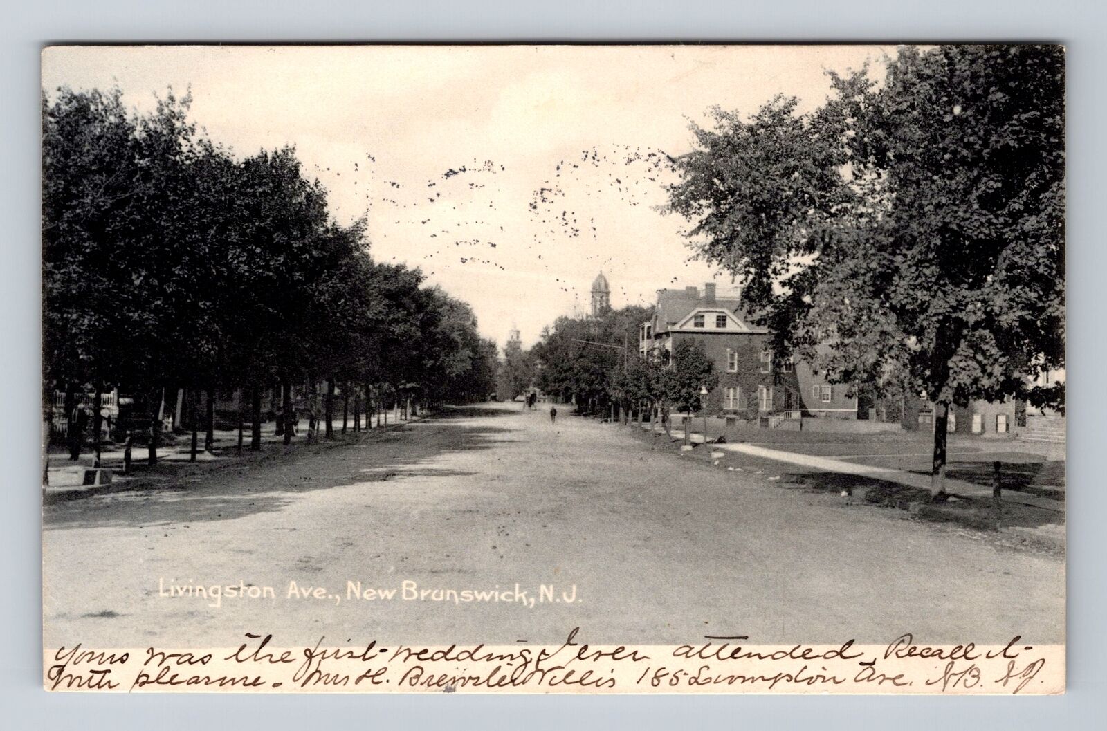 New Brunswick NJ-New Jersey Scenic View Of Livingston Ave Vintage c1907 Postcard