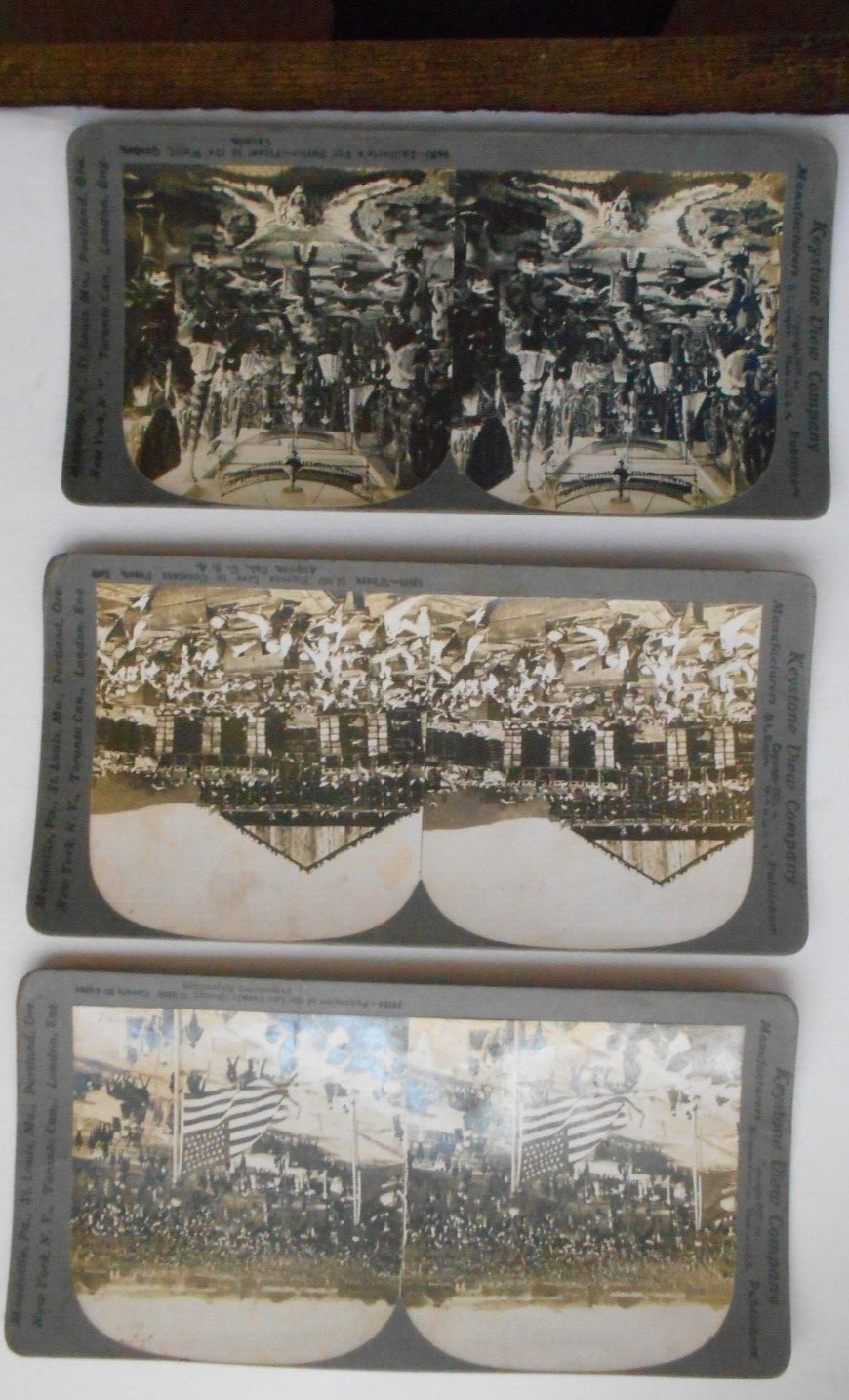 Stereoview Cards by the Keystone View Company -3- Constan Pass Pigeons, Flags,