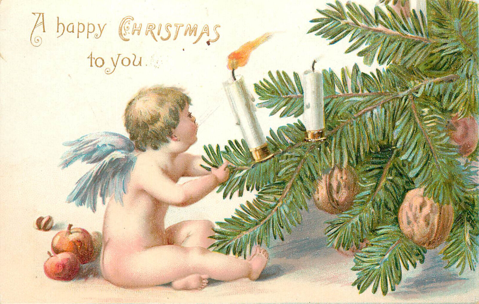 Embossed Tuck Christmas Postcard Cherub Tugs On Branch With Candles and Walnuts