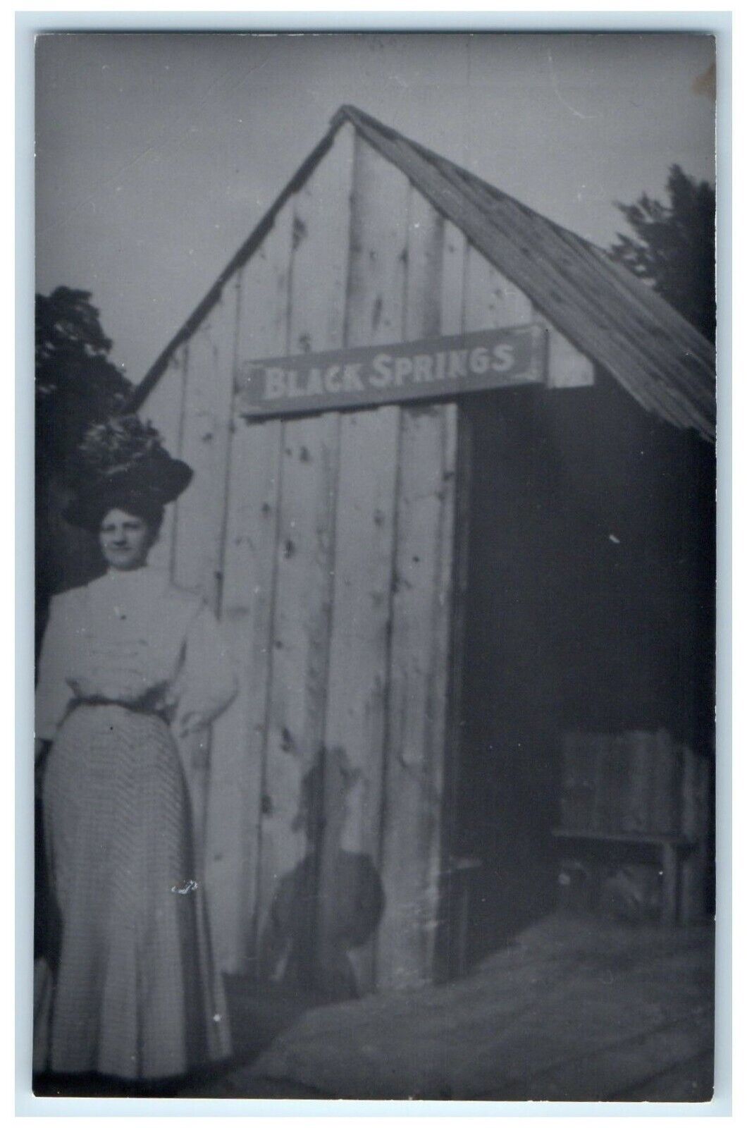 c1960\'s Black Springs Iowa IA Railroad Train Depot Station RPPC Photo Postcard