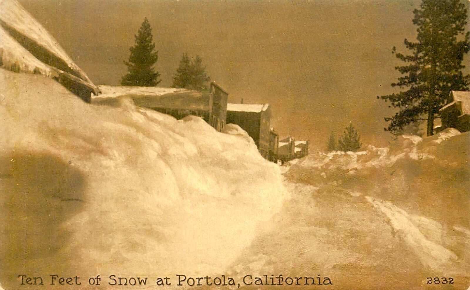 10 FEET OF SNOW IN PORTOLA, CALIFORNIA, VINTAGE POSTCARD (SV 262)