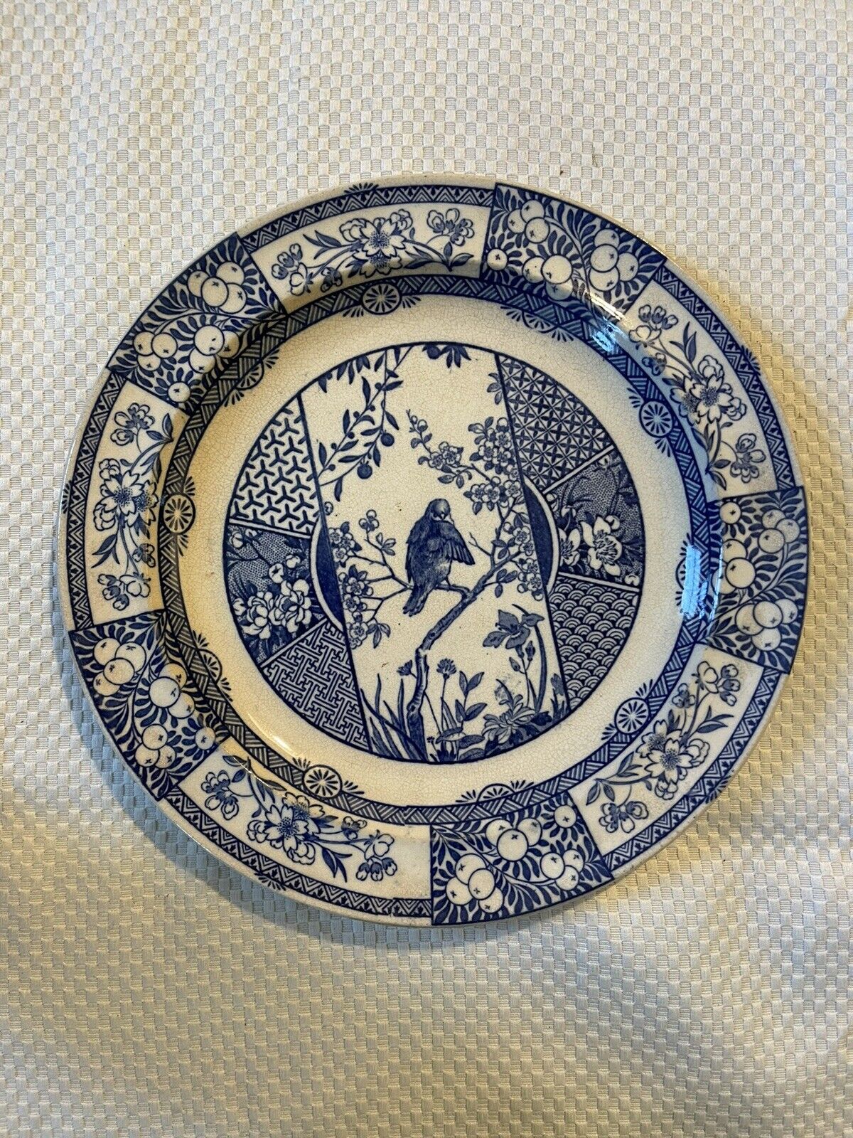 15- 9 1/4” Dinner Plates Rare Antique Wedgwood “Panama” Pattern 1882-3.