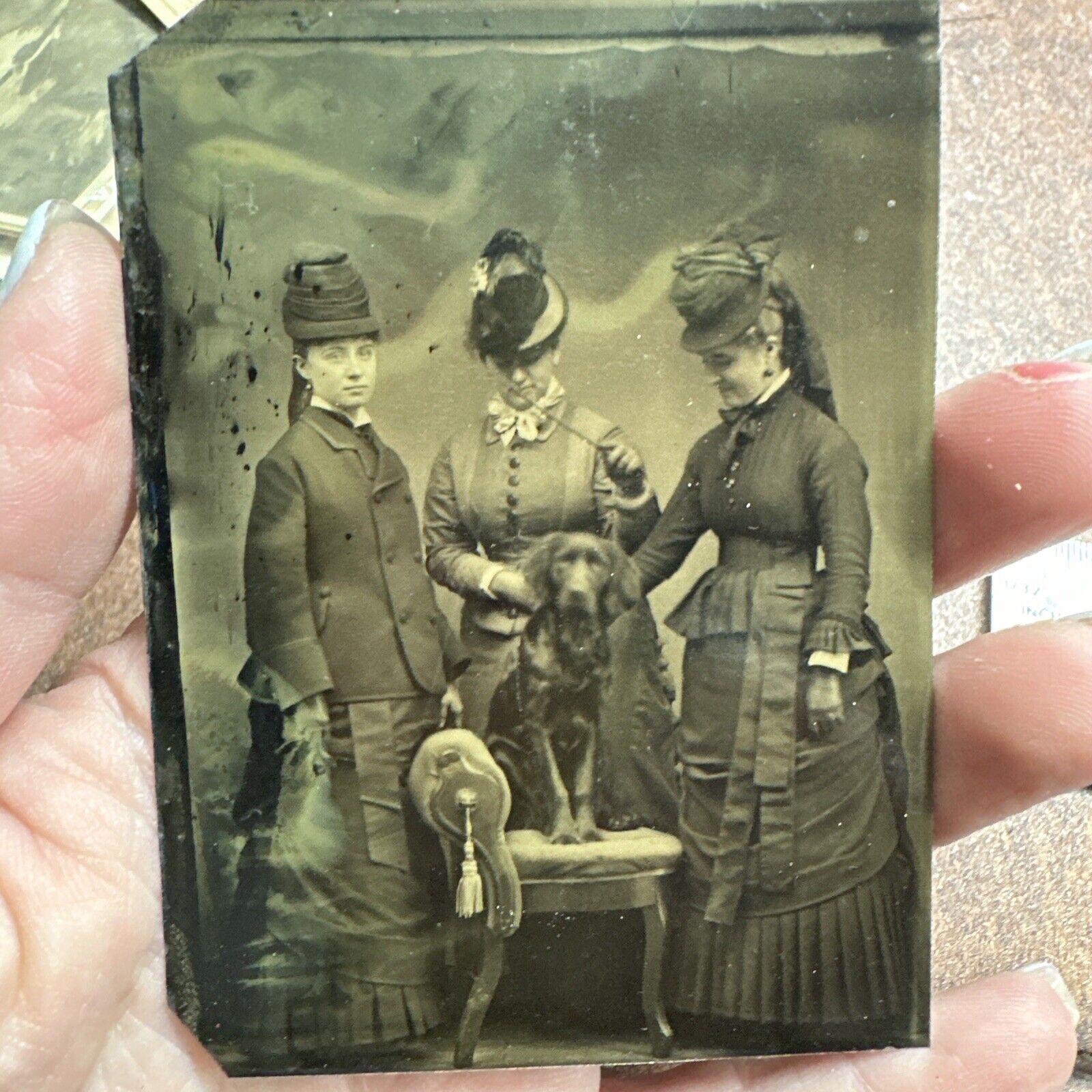 RARE 1890's antique Tintype Photo Photograph 3 Women Witches Witchcraft & Dog