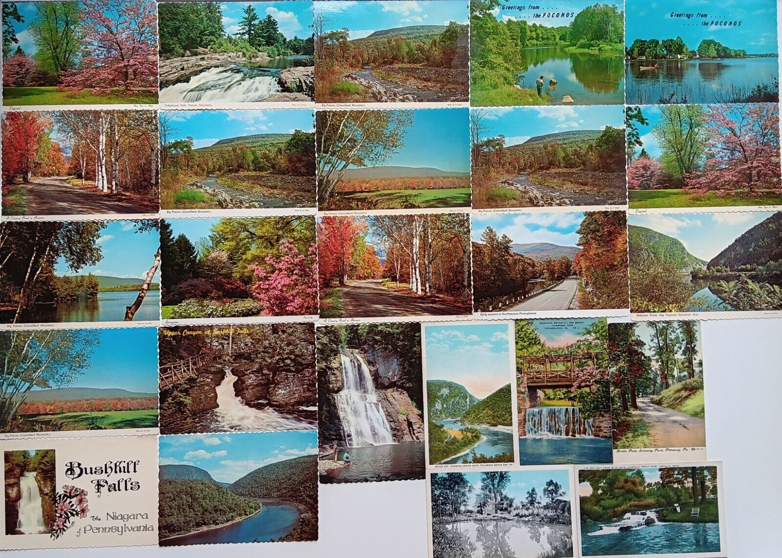 25 Blank Antique Vintage 1900s Postcard Pennsylvania Poconos Scenery Ohio Lot 38