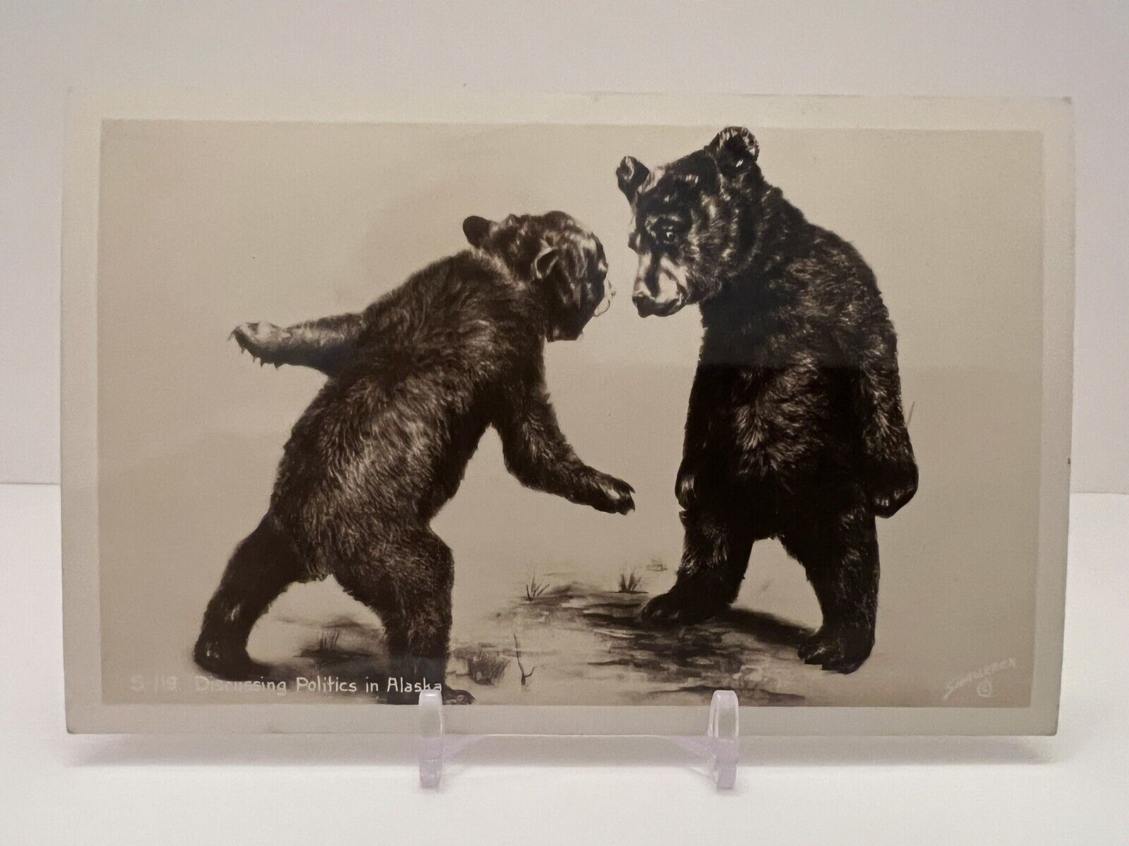 Vintage 1910 Discussing Politics Alaska Start Something Fighting Bears Postcard