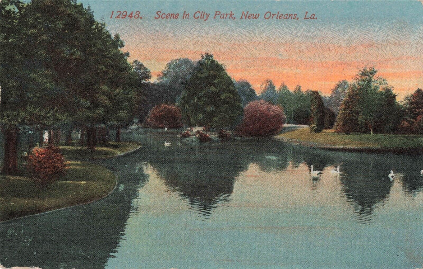 Swans in City Park New Orleans LA 1907 Postcard B549