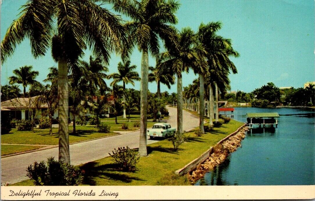 Postcard Delightful Tropical Florida Living Gainesville Florida 1969