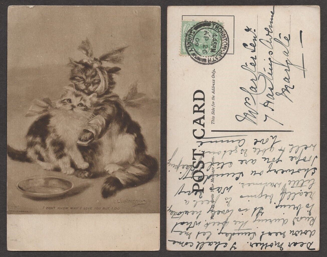 1909 Cat Postcard – Kittens – I Don\'t Know Why I Love You