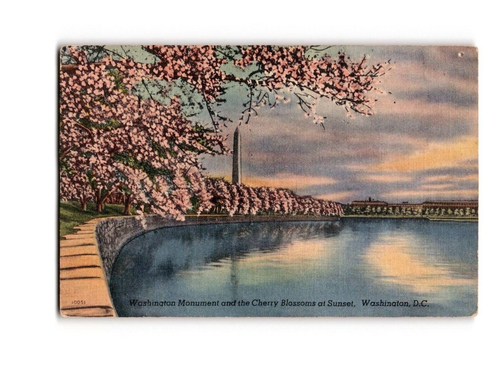 Vintage Postcard Washington Monument Cherry Blossoms Sunset DC 10051