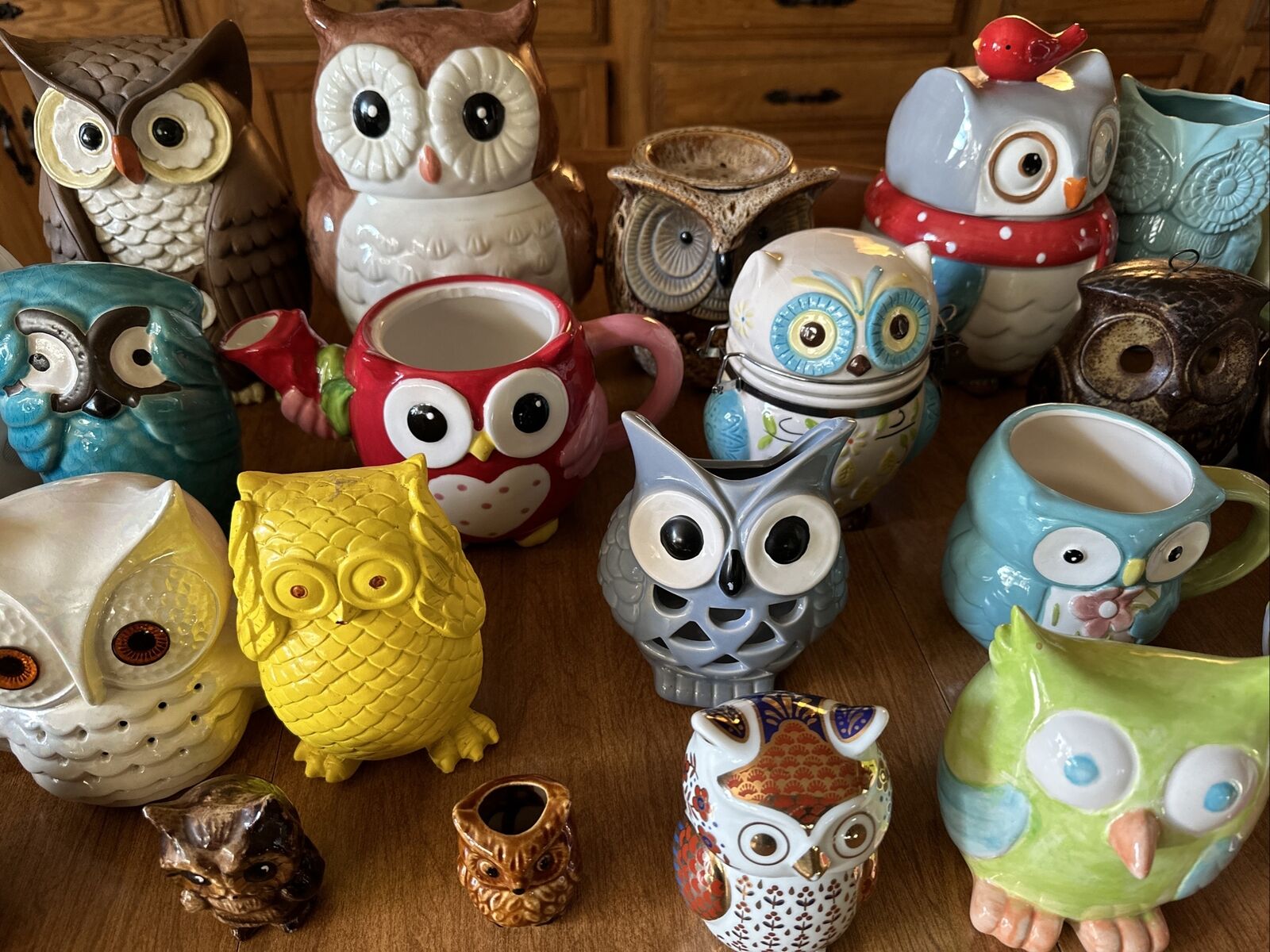 Ultimate Owl Collection One Of A Kind Anywhere