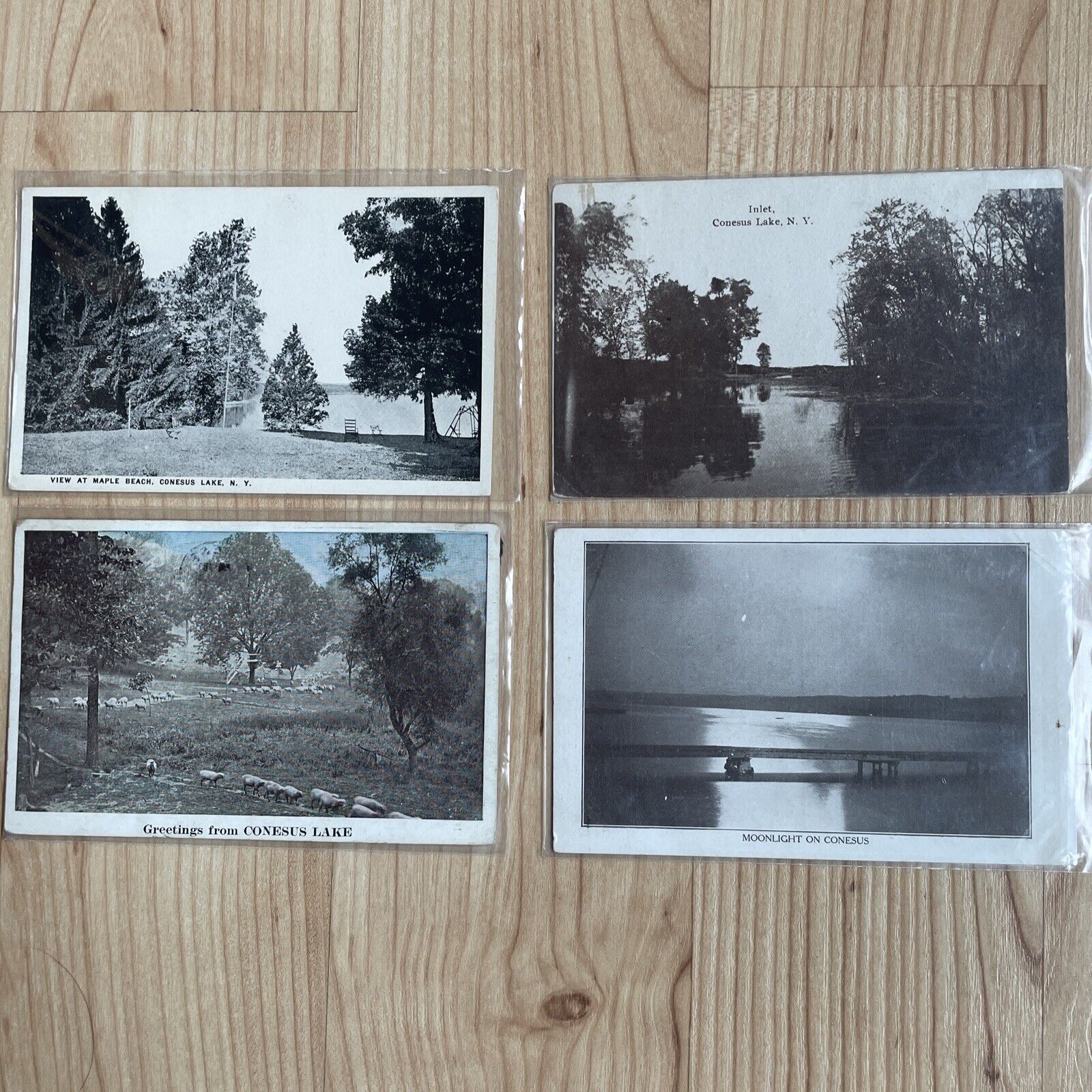 Vintage Conesus Lake Postcards Lot of Four