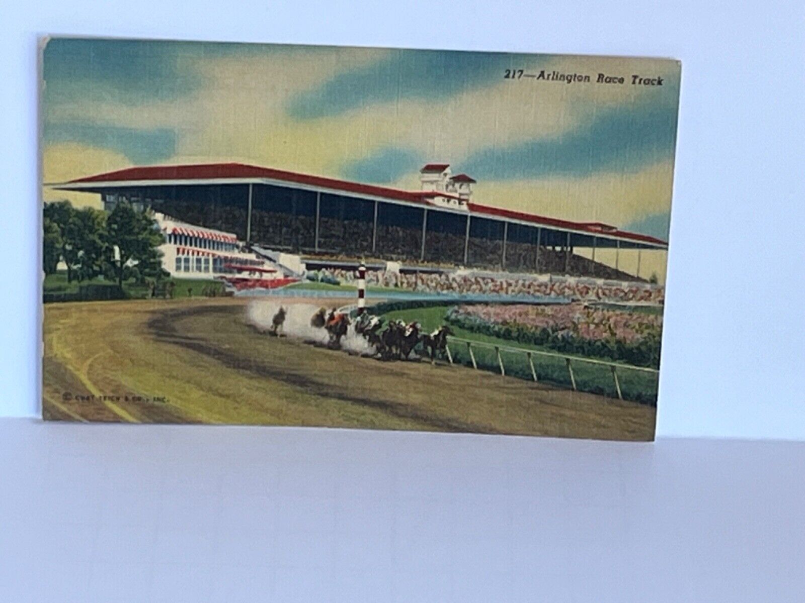 Postcard Arlington Race Track Arlington Heights Illinois IL A20