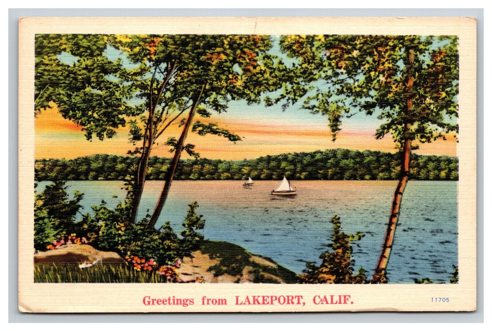 Greetings From Lakeport California CA Postcard
