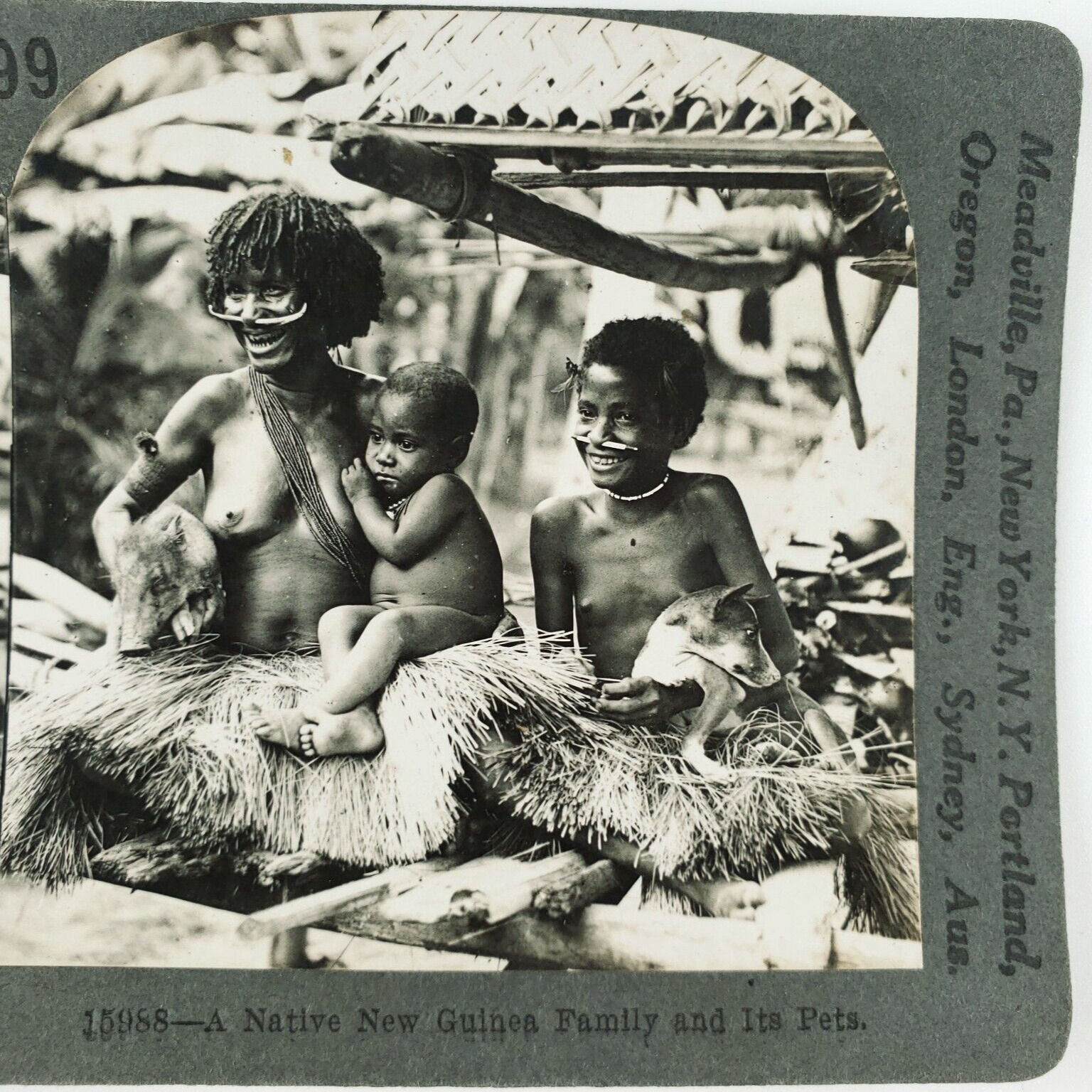 Indigenous New Guinea Family Stereoview 1920s Native People Pig Hut Woman E861