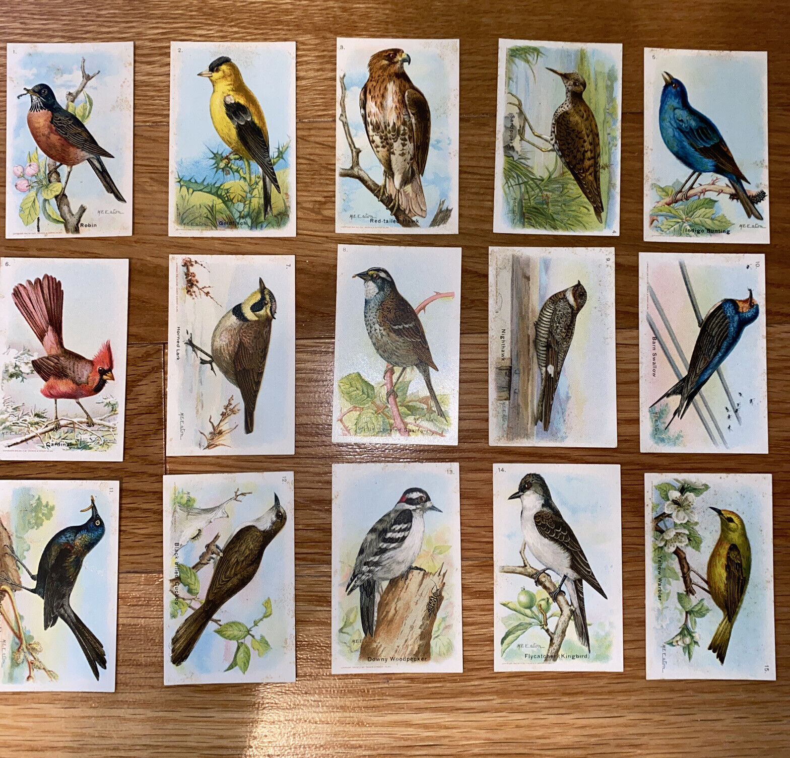 Useful Birds of America 5th series complete 15 Vintage Card Set Church & Dwight