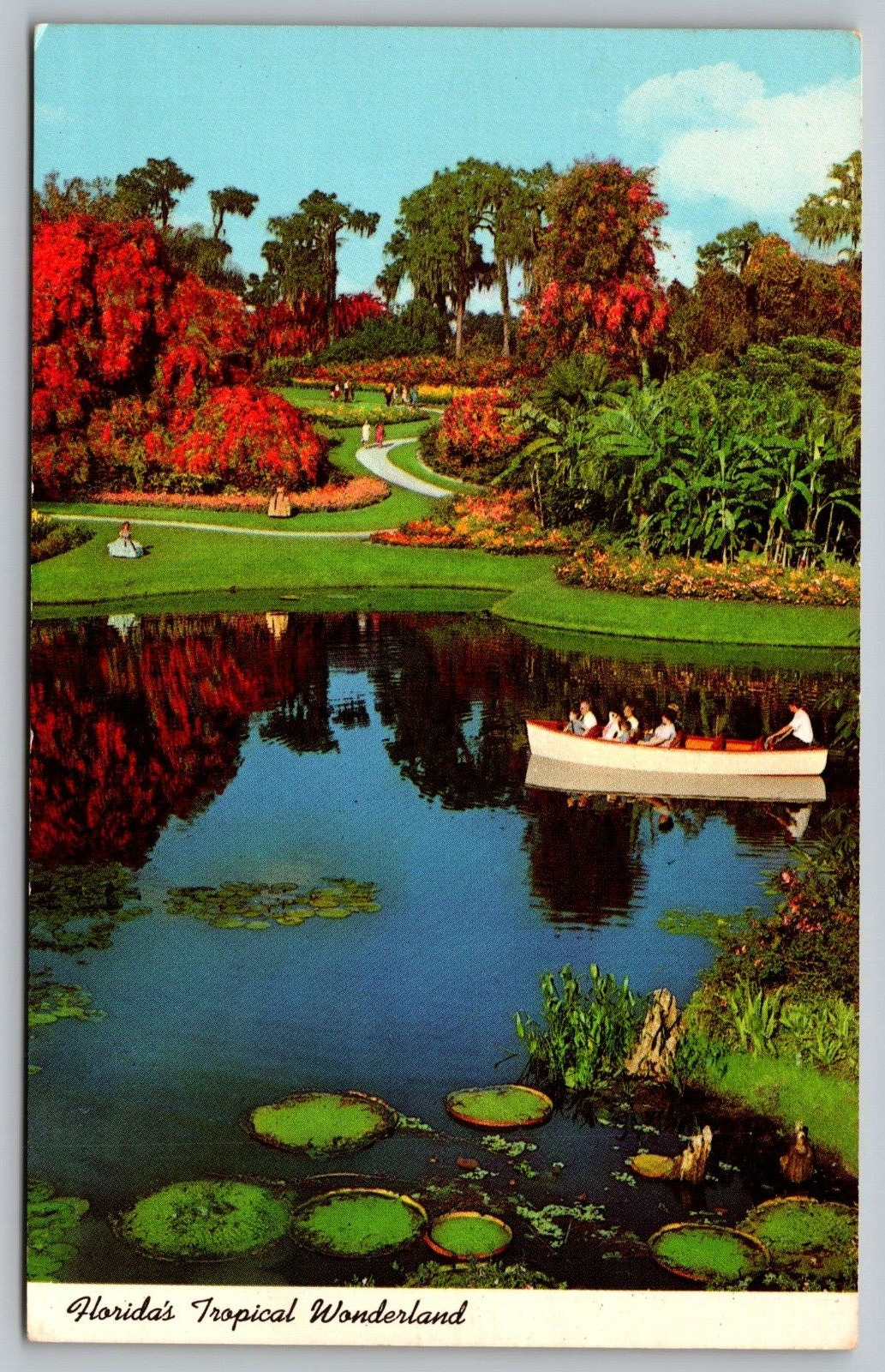 Postcard Lily Pads Mingle FL Tropical Wonderland Cypress Gardens VTG c1970  I4