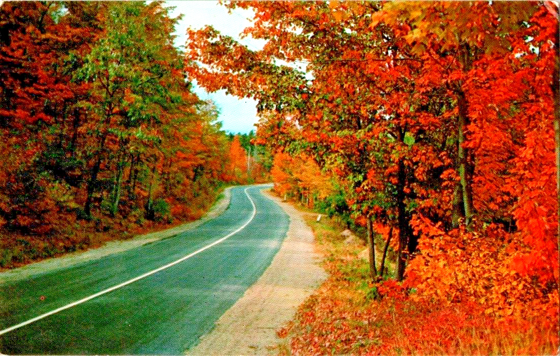 Greetings from Syria Vairginia fall foliage postcard a61